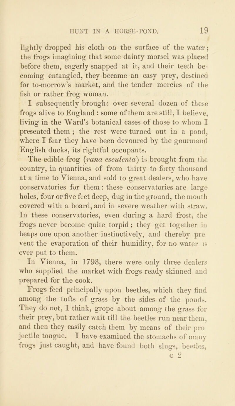 lightly dropped his cloth on the surface of the water; tlie frogs imagining that some dainty morsel was placed before them, eagerly snapped at it, and their teeth be- coming entangled, they became an easy prey, destined for to-morrow’s market, and the tender mercies of the hsh or rather frog woman. I subsequently brought over several dozen of these frogs alive to England : some of them are still, 1 believe, living in the Ward’s botanical cases of those to whom I presented them ; tlie rest were turned out in a pond, where I fear they have been devoured by the gourmand English ducks, its rightful occupants. The edible frog {rana esculenta) is brought from the country, in quantities of from thirty to forty thousand at a time to Vienna, and sold to great dealers, who have conservatories for them: these conservatories are large holes, four or five feet deep, dug in the ground, the mouth covered with a board, and in severe weather with straw. In these conservatories, even during a hard frost, the frogs never become quite torpid; they get together in heaps one upon another instinctively, and thereby pre vent the evaporation of their humidity, for no water is ever put to them. In Vienna, in 1793, there were only three dealers who supplied the market with frogs ready skinned and prepared for the cook. Frogs feed principally upon beetles, which they find among the tufts of grass by the sides of the ponds. They do not, I think, grope about among the grass for their prey, but rather wait till the beetles run near them, and then they easily catch them by means of their pro jectile tongue. I have examined the stomachs of many frogs just caught, and have found both slugs, beetles,
