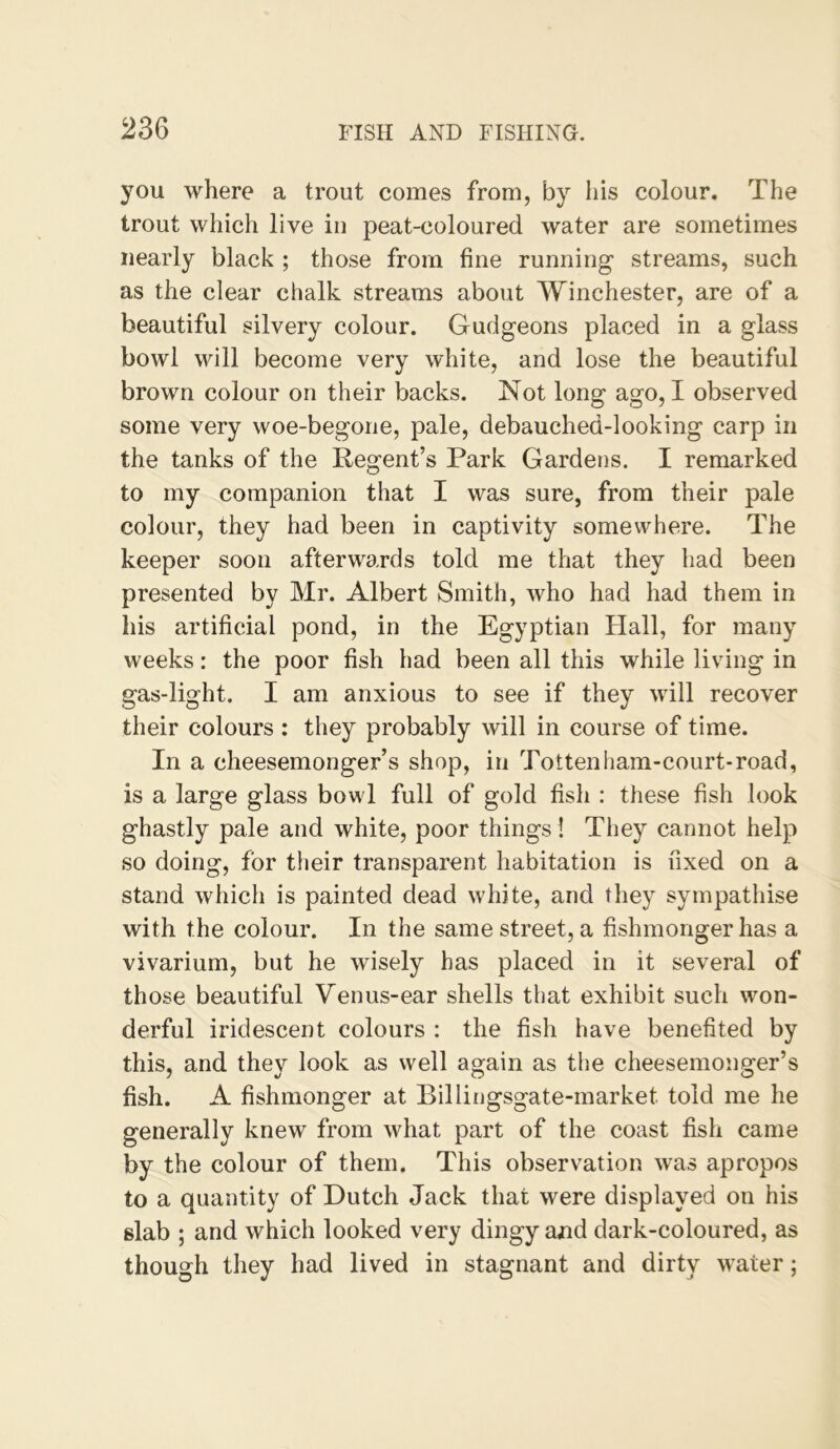 you where a trout comes from, by his colour. The trout which live in peat-coloured water are sometimes nearly black ; those from fine running streams, such as the clear chalk streams about Winchester, are of a beautiful silvery colour. Gudgeons placed in a glass bowl will become very white, and lose the beautiful brown colour on their backs. Not long ago, I observed some very woe-begone, pale, debauched-looking carp in the tanks of the Regent’s Park Gardens. I remarked to my companion that I was sure, from their pale colour, they had been in captivity somewhere. The keeper soon afterwards told me that they had been presented by Mr. Albert Smith, who had had them in his artificial pond, in the Egyptian Hall, for many weeks: the poor fish had been all this while living in gas-light. I am anxious to see if they will recover their colours : they probably will in course of time. In a cheesemonger’s shop, in Totten ham-court-road, is a large glass bowl full of gold fish : these fish look ghastly pale and white, poor things! They cannot help so doing, for their transparent habitation is fixed on a stand which is painted dead white, and they sympathise with the colour. In the same street, a fishmonger has a vivarium, but he wisely has placed in it several of those beautiful Venus-ear shells that exhibit such won- derful iridescent colours : the fish have benefited by this, and thev look as well again as the cheesemonger’s *4/ O O fish. A fishmonger at Billingsgate-market told me he generally knew from what part of the coast fish came by the colour of them. This observation was apropos to a quantity of Dutch Jack that were displayed on his slab ; and which looked very dingy and dark-coloured, as though they had lived in stagnant and dirty water;