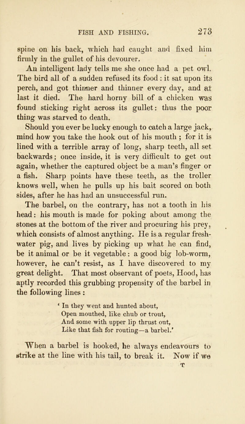 spine on his back, which had caught and fixed Iiini firmly in the gullet of his devourer. An intelligent lady tells me she once had a pet owl. The bird all of a sudden refused its food ; it sat upon its perch, and got thirmer and thinner every day, and at last it died. The hard horny bill of a chicken was found sticking right across its gullet: thus the poor thing was starved to death. Should you ever be lucky enough to catch a large jack, mind how you take the hook out of his mouth ; for it is lined with a terrible array of long, sharp teeth, all set backwards; once inside, it is very difficult to get out again, whether the captured object be a man’s finger or a fish. Sharp points have these teeth, as the troller knows well, when he pulls up his bait scored on both sides, after he has had an unsuccessful run. The barbel, on the contrary, has not a tooth in his head: his mouth is made for poking about among the stones at the bottom of the river and procuring his prey, which consists of almost anything. He is a regular fresh- water pig, and lives by picking up what he can find, be it animal or be it vegetable: a good big lob-worm, however, he can’t resist, as I have discovered to my great delight. That most observant of poets. Hood, has aptly recorded this grubbing propensity of the barbel in the following lines: ‘ In they went and hunted about, Open mouthed, like chub or trout. And some with upper lip thrust out. Like that fish for routing—a barbel.’ When a barbel is hooked, he always endeavours to strike at the line with his tail, to break it. Now if we T