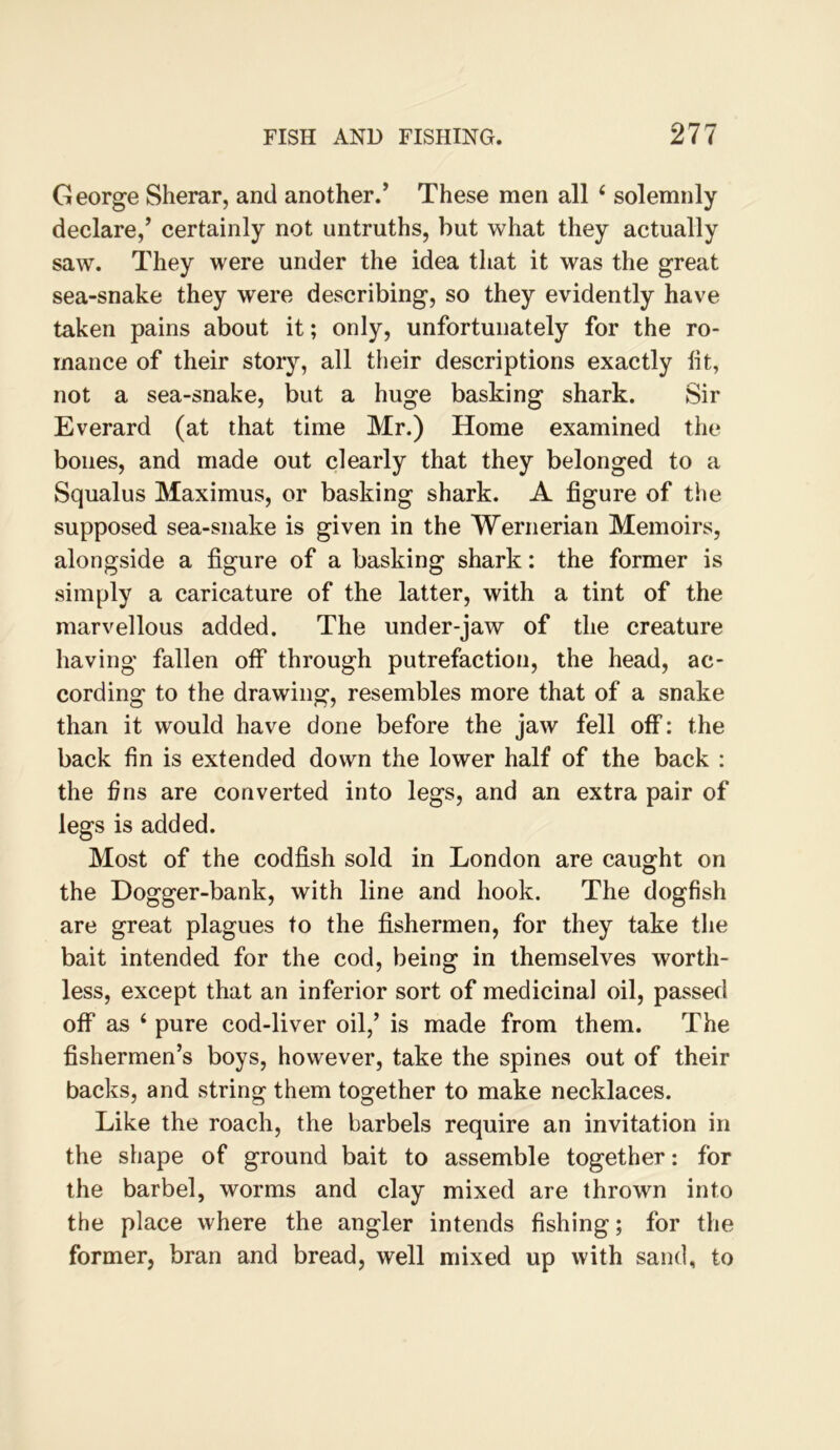 George Sherar, and another.’ These men all ‘ solemnly declare/ certainly not untruths, but what they actually saw. They were under the idea that it was the great sea-snake they were describing, so they evidently have taken pains about it; only, unfortunately for the ro- mance of their story, all their descriptions exactly lit, not a sea-snake, but a huge basking shark. Sir Everard (at that time Mr.) Home examined the bones, and made out clearly that they belonged to a Squalus Maximus, or basking shark. A figure of the supposed sea-snake is given in the Wernerian Memoirs, alongside a figure of a basking shark: the former is simply a caricature of the latter, with a tint of the marvellous added. The under-jaw of the creature having fallen off through putrefaction, the head, ac- cording to the drawing, resembles more that of a snake than it would have done before the jaw fell off: the back fin is extended down the lower half of the back : the fins are converted into legs, and an extra pair of legs is added. Most of the codfish sold in London are caught on the Dogger-bank, with line and hook. The dogfish are great plagues to the fishermen, for they take the bait intended for the cod, being in themselves worth- less, except that an inferior sort of medicinal oil, passed off as ‘ pure cod-liver oil,’ is made from them. The fishermen’s boys, however, take the spines out of their backs, and string them together to make necklaces. Like the roach, the barbels require an invitation in the shape of ground bait to assemble together: for the barbel, worms and clay mixed are thrown into the place where the angler intends fishing; for the former, bran and bread, well mixed up with sand, to