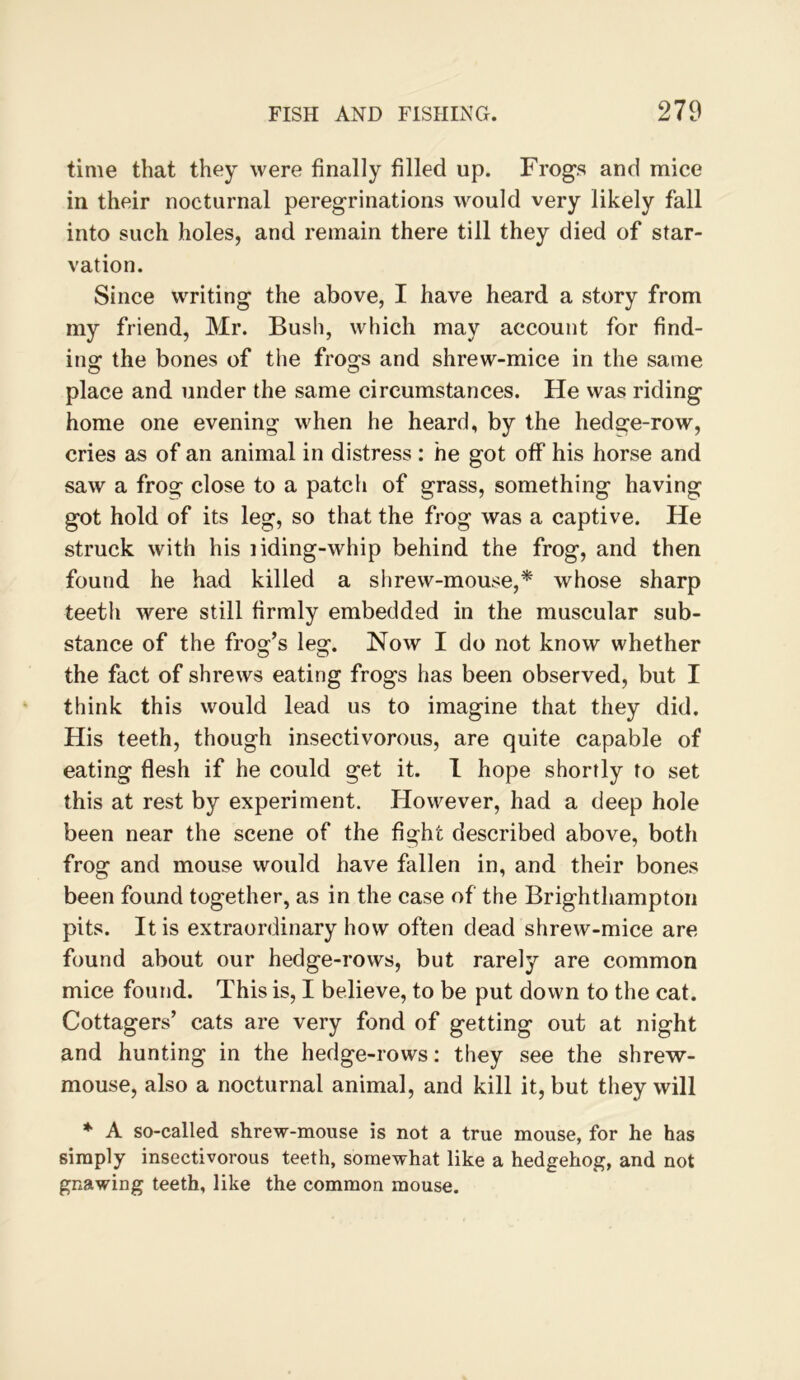 time that they were finally filled up. Frogs and mice in their nocturnal peregrinations would very likely fall into such holes, and remain there till they died of star- vation. Since writing the above, I have heard a story from my friend, Mr. Bush, which may account for find- ing the bones of the frogs and shrew-mice in the same place and under the same circumstances. He was riding home one evening when he heard, by the hedge-row, cries as of an animal in distress : he got off his horse and saw a frog close to a patcii of grass, something having got hold of its leg, so that the frog was a captive. He struck with his liding-whip behind the frog, and then found he had killed a shrew-mouse,* whose sharp teetli were still firmly embedded in the muscular sub- stance of the frog’s leg. Now I do not know whether the fact of shrews eating frogs has been observed, but I think this would lead us to imagine that they did. His teeth, though insectivorous, are quite capable of eating flesh if he could get it. I hope shortly to set this at rest by experiment. However, had a deep hole been near the scene of the fight described above, both frog and mouse would have fallen in, and their bones been found together, as in the case of the Brighthamptoii pits. It is extraordinary how often dead shrew-mice are found about our hedge-rows, but rarely are common mice found. This is, I believe, to be put down to the cat. Cottagers’ cats are very fond of getting out at night and hunting in the hedge-rows: they see the shrew- mouse, also a nocturnal animal, and kill it, but they will * A so-called shrew-mouse is not a true mouse, for he has simply insectivorous teeth, somewhat like a hedgehog, and not gnawing teeth, like the common mouse.