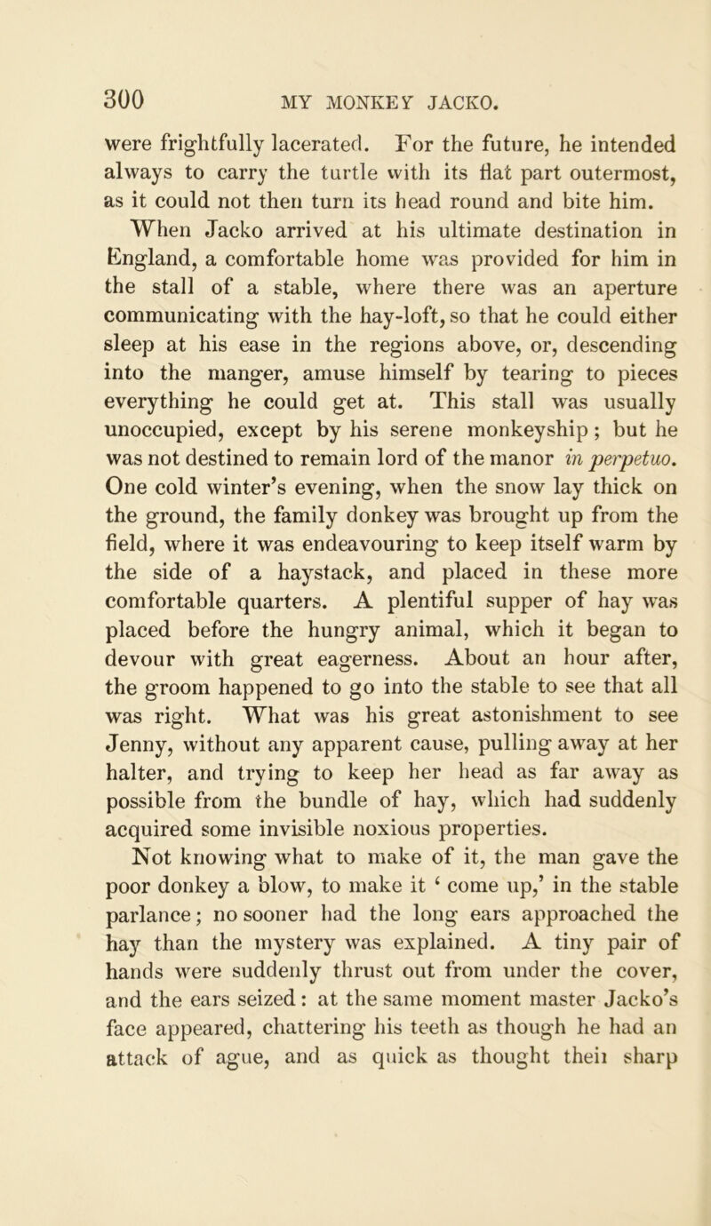 were frightfully lacerated. For the future, he intended always to carry the turtle with its Hat part outermost, as it could not then turn its head round and bite him. When Jacko arrived at his ultimate destination in Kngland, a comfortable home wa,s provided for him in the stall of a stable, where there was an aperture communicating with the hay-loft, so that he could either sleep at his ease in the regions above, or, descending into the manger, amuse himself by tearing to pieces everything he could get at. This stall was usually unoccupied, except by his serene monkeyship; but he was not destined to remain lord of the manor in perpetuo. One cold winter’s evening, when the snow lay thick on the ground, the family donkey was brought up from the field, where it was endeavouring to keep itself warm by the side of a haystack, and placed in these more comfortable quarters. A plentiful supper of hay was placed before the hungry animal, which it began to devour with great eagerness. About an hour after, the groom happened to go into the stable to see that all was right. What was his great astonishment to see Jenny, without any apparent cause, pulling away at her halter, and trying to keep her head as far away as possible from the bundle of hay, which had suddenly acquired some invisible noxious properties. Not knowing what to make of it, the man gave the poor donkey a blow, to make it ‘ come up,’ in the stable parlance; no sooner had the long ears approached the hay than the mystery was explained. A tiny pair of hands were suddenly thrust out from under the cover, and the ears seized: at the same moment master Jacko’s face appeared, chattering his teeth as though he had an attack of ague, and as quick as thought theii sharp