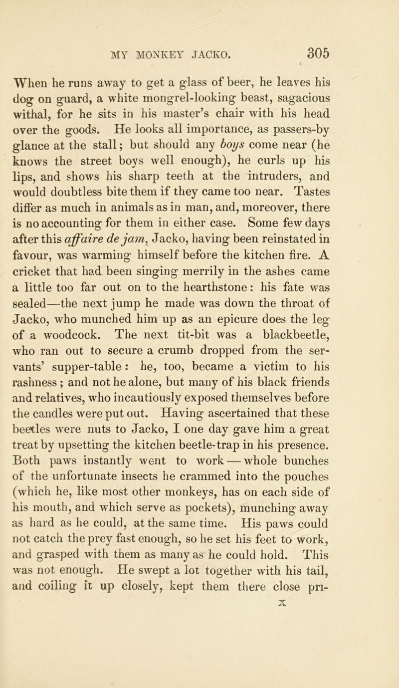 When he runs away to get a glass of beer, he leaves his dog on guard, a white mongrel-looking beast, sagacious withal, for he sits in his master’s chair with his head over the goods. He looks all importance, as passers-by glance at the stall; but should any boys come near (he knows the street boys well enough), he curls up his lips, and shows his sharp teeth at the intruders, and would doubtless bite them if they came too near. Tastes differ as much in animals as in man, and, moreover, there is no accounting for them in either case. Some few days after this affaire de jam, Jacko, having been reinstated in favour, was warming himself before the kitchen fire. A cricket that had been singing merrily in the ashes came a little too far out on to the hearthstone: his fate was sealed—the next jump he made was down the throat of Jacko, who munched him up as an epicure does the leg of a woodcock. The next tit-bit was a blackbeetle, who ran out to secure a crumb dropped from the ser- vants’ supper-table: he, too, became a victim to his rashness; and not he alone, but many of his black friends and relatives, who incautiously exposed themselves before the candles were put out. Having ascertained that these beetles were nuts to Jacko, I one day gave him a great treat by upsetting the kitchen beetle-trap in his presence. Both paws instantly went to work — whole bunches of the unfortunate insects he crammed into the pouches (which he, like most other monkeys, has on each side of his mouth, and which serve as pockets), munching away as hard as he could, at the same time. His paws could not catch the prey fast enough, so he set his feet to work, and grasped with them as many as he could hold. This was not enough. He swept a lot together with his tail, and coiling it up closely, kept them there close pn-