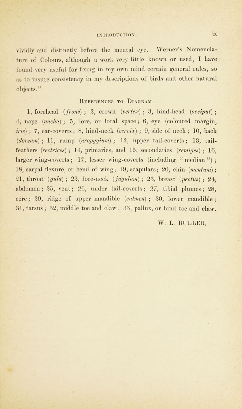 vividly and distinctly before the mental eye. \\ erner’s Nomencla- tnre of Colours, although a work very little known or used, I have found very useful for fixing in my own mind certain general rules, so as to insure consistency in my descriptions of birds and other natural objects.” References to Diagram. 1, forehead (frons) ; 2, crown (vertex) ; 3, hind-head (occiput) ; 4, nape (nuchct) ; 5, lore, or loral space; 6, eye (coloured margin, iris) ; 7, ear-coverts; 8, hind-neck (cervix) ; 9, side of neck; 10, back (dorsum)-, 11, rump (uropygium) ; 12, upper tail-coverts; 13, tail- feathers (rectrices) ; 14, primaries, and 15, secondaries (remiges) ; 16, larger wing-coverts; 17, lesser wing-coverts (including “ median”); 18, carpal flexure, or bend of wing; 19, scapulars; 20, chin (mentum); 21, throat (gala) ; 22, fore-neck (jugulum) ; 23, breast (pectus) ; 24, abdomen; 25, vent; 26, under tail-coverts; 27, tibia! plumes; 28, cere; 29, ridge of upper mandible (cidmen) ; 30, lower mandible; 31, tarsus; 32, middle toe and claw; 33, pallux, or hind toe and claw. W. L, BTTLLER.