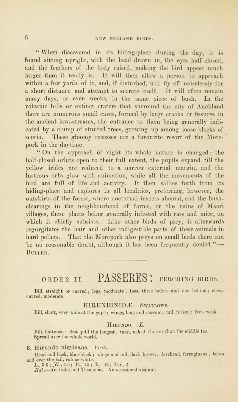 tc When discovered in its hiding-place during the day, it is found sitting upright, with the head drawn in, the eyes half closed, and the feathers of the body raised, making the bird appear much larger than it really is. It will then allow a person to approach within a few yards of it, and, if disturbed, will fly off noiselessly for a short distance and attempt to secrete itself. It will often remain many days, or even weeks, in the same piece of bush. In the volcanic hills or extinct craters that surround the city of Auckland there are numerous small caves, formed by large cracks or fissures in the ancient lava-streams, the entrance to them being generally indi- cated by a clump of stunted trees, growing up among loose blocks of scoria. These gloomy recesses are a favourite resort of the More- pork in the daytime. “ On the approach of night its whole nature is changed: the half-closed orbits open to their full extent, the pupils expand till the yellow irides are reduced to a narrow external margin, and the lustrous orbs glow with animation, while all the movements of the bird are full of life and activitv. It then sallies forth from its hiding-place and explores in all localities, preferring, however, the outskirts of the forest, where nocturnal insects abound, and the bush- clearings in the neighbourhood of farms, or the ruins of Maori villages, these places being generally infested with rats and mice, on which it chiefly subsists. Like other birds of prey, it afterwards regurgitates the hair and other indigestible parts of these animals in hard pellets. That the Morepork also preys on small birds there can be no reasonable doubt, although it has been frequently denied.”— Buller. ORDER II. PAS SERES ! PERCHING birds. Bill, straight or curved ; legs, moderate ; toes, three before and one behind ; claws, curved, moderate. HIBUNDINID.E. Swallows. Bill, short, very wide at the gape; wings, long and narrow ; tail, forked ; feet, weak. Hirundo. L. Bill, flattened ; first quill the longest; tarsi, naked, shorter than the middle toe. Spread over the whole world. 6. Hirundo nigricans. Vieill. Head and back, blue-black ; wings and tail, dark brown ; forehead, ferruginous ; below and over the tail, rufous-white. L., 5*5 ; „W., 4;5 ; B., -42 ; T., *42 ; Tail, 2. Jlab.—Australia and Tasmania. An occasional visitant,