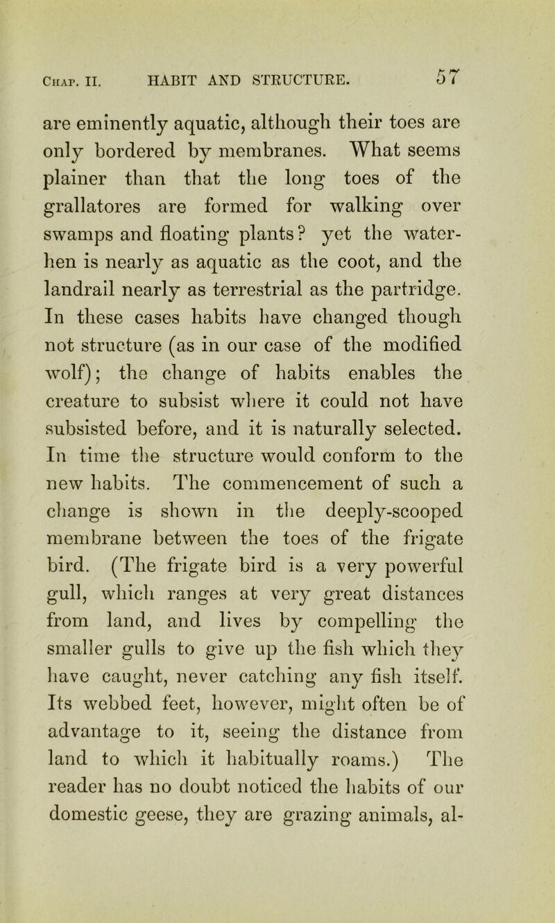 are eminently aquatic, although their toes are only bordered by membranes. What seems plainer than that the long toes of the grallatores are formed for walking over swamps and floating plants ? yet the water- hen is nearly as aquatic as the coot, and the landrail nearly as terrestrial as the partridge. In these cases habits liave changed though not structure (as in our case of the modified wolf); the change of habits enables the creature to subsist wliere it could not have subsisted before, and it is naturally selected. In time the structure would conform to the new habits. The commencement of such a change is shown in the deeply-scooped membrane between the toes of the frigate bird. (The frigate bird is a very powerful gull, which ranges at very great distances from land, and lives by compelling the smaller gulls to give up the fish which they have caught, never catching any fish itself. Its webbed feet, however, might often be of advantage to it, seeing the distance from land to which it habitually roams.) The reader has no doubt noticed the habits of our domestic geese, they are grazing animals, al-