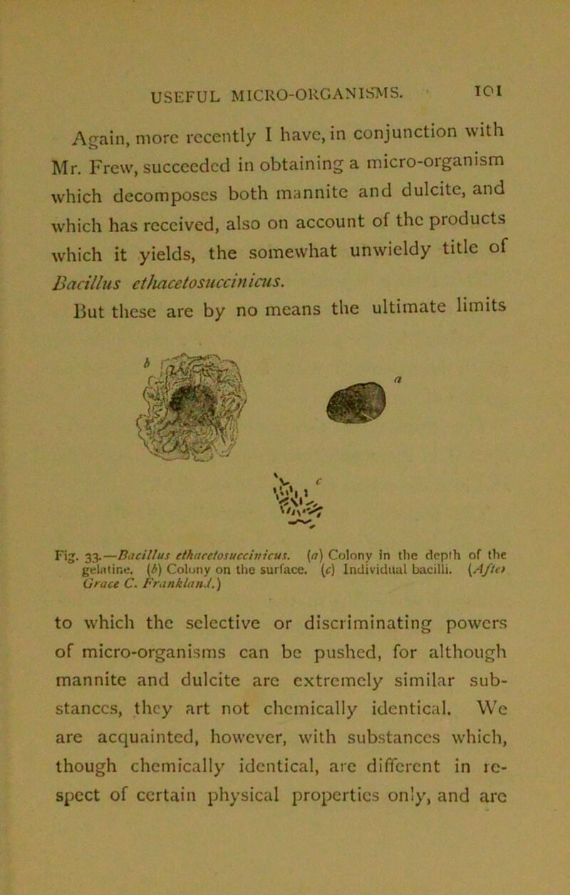 Again, more recently I have, in conjunction with Mr. Frew, succeeded in obtaining a micro-organism which decomposes both mannite and dulcite, and which has received, also on account of the products which it yields, the somewhat unwieldy title of Bacillus cthacetosuccin icus. But these are by no means the ultimate limits Fig. 33.—Bacillus cthacctosucciuicus. (a) Colony in the depth of the gelatine. (b) Colony on the surface, (c) Individual bacilli. (A/to Grace C. Frankland.) to which the selective or discriminating powers of micro-organisms can be pushed, for although mannite and dulcite arc extremely similar sub- stances, they art not chemically identical. We are acquainted, however, with substances which, though chemically identical, arc different in re- spect of certain physical properties only, and are