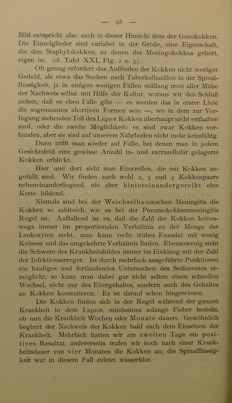 Bild entspricht also auch in dieser Hinsicht dem der Gonokokken. Die Einzelglieder sind variabel in der Größe, eine Eigenschaft, die den Staphylokokken, zu denen der Meningokokkus gehört, eigen ist. (cf. Tafel XXI, Fig. 2 u. 3.) Oft genug erfordert das Auffinden der Kokken nicht weniger Geduld, als etwa das Suchen nach Tuberkelbazillen in der Spinal- flüssigkeit, ja in einigen wenigen Fällen mißlang trotz aller Mühe der Nachweis selbst mit Hilfe der Kultur, woraus wir den Schluß ziehen, daß es eben Fälle gibt — es werden das in erster Linie die sogenannten abortiven Formen sein —, wo in dem zur Ver- fügung stehenden Teil des Liquor Kokken überhaupt nicht enthalten sind, oder die zweite Möglichkeit: es sind zwar Kokken vor- handen, aber sie sind auf unserem Nährboden nicht mehr keimfähig. Dann trifft man wieder auf Fälle, bei denen man in jedem Gesichtsfeld eine gewisse Anzahl in- und extrazellulär gelagerte Kokken erblickt. Hier und dort sieht man Eiterzellen, die mit Kokken an- gefüllt sind. Wir finden auch wohl 2, 3 und 4 Kokkenpaare nebeneinanderliegend, nie aber hintereinandergereiht eine Kette bildend. Niemals sind bei der Weichselbaumschen Meningitis die Kokken so zahlreich, wie es bei der Pneumokokkenmeningitis Regel ist. Auffallend ist es, daß die Zahl der Kokken keines- wegs immer im proportionalen Verhältnis zu der Menge der Leukozyten steht, man kann recht trübes Exsudat mit wenig Keimen und das umgekehrte Verhältnis finden. Ebensowenig steht die Schwere des Krankheitsbildes immer im Einklang mit der Zahl der Infektionserreger. Ist durch mehrfach ausgeführte Punktionen ein häufiges und fortlaufendes Untersuchen des Sedimentes er- möglicht, so kann man dabei gar nicht selten einen schnellen Wechsel, nicht nur des Eitergehaltes, sondern auch des Gehaltes an Kokken konstatieren. Es ist darauf schon hingewiesen. Die Kokken finden sich in der Regel während der ganzen Krankheit in dem Liquor, mindestens solange Fieber besteht, ob nun die Krankheit Wochen oder Monate dauert. Gewöhnlich beginnt der Nachweis der Kokken bald nach dem Einsetzen der Krankheit. Mehrfach hatten wir am zweiten Tage ein posi- tives Resultat, andererseits trafen wir noch nach einer Krank- heitsdauer von vier Monaten die Kokken an; die Spinalflüssig- keit war in diesem Fall zuletzt wasserklar.