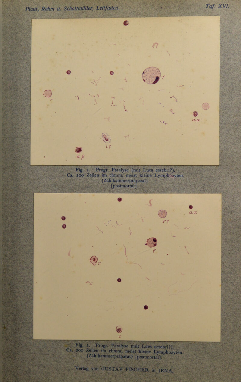 ■ wS’A ',i . ‘ . *::A - ,varr SJfe^ ■-• r/ U A'v^fcV.- ■-' © 0 fr ✓ \  '■ > # # ^ r 2 r • «*• ■f'% • ' \ k.y . x r*i \f r \ . ^er © V • • <# ■ c ;■::.” - ■ T ® JENA-