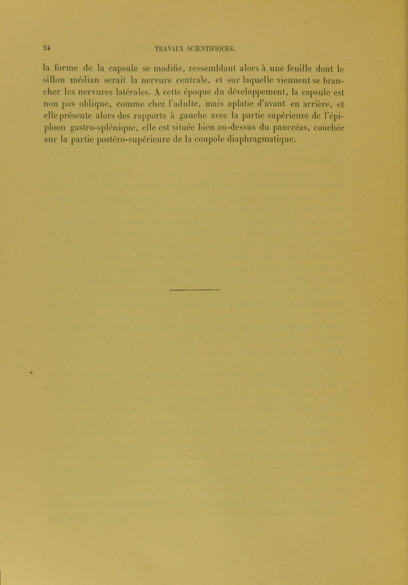 la forme de la capsule se modifie, ressemblant alors à une feuille dont le sillon médian serait la nervure centrale, et sur laquelle viennent se bran- cher les nervures latérales. À celte époque du développement, la capsule est non pas oblique, comme chez l’adulte, mais aplatie d’avant en arrière, et elle présente alors des rapports à gauche avec la partie supérieure de l’épi- ploon gastro-splénique, elle est située bien au-dessus du pancréas, couchée sur la partie postéro-supérieure de la coupole diaphragmatique.