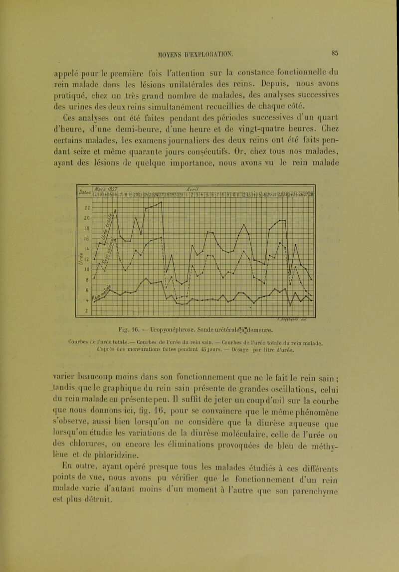 appelé pour lé première lois l'attention sur la constance fonctionnelle du rein malade dans les lésions unilatérales des reins. Depuis, nous avons pratiqué, chez un très grand nombre de malades, des analyses successives des urines des deux reins simultanément recueillies de chaque côté. Ces analyses ont été faites pendant des périodes successives d’un quart d’heure, d’une demi-heure, d’une heure et de vingt-quatre heures. Chez certains malades, les examens journaliers des deux reins ont été faits pen- dant seize et même quarante jours consécutifs. Or, chez tous nos malades, ayant des lésions de quelque importance, nous avons vu le rein malade Courbes de Curée totale.— Courbes de l’urée du rein sain. — Courbes de l’urée totale du rein malade, d’après des mensurations faites pendant 45 jours. — Dosage par litre d’urée. varier beaucoup moins dans son fonctionnement que ne le fait le rein sain ; tandis que le graphique du rein sain présente de grandes oscillations, celui du rein malade en présente peu. 11 suffit de jeter un coup d’œil sur la courbe que nous donnons ici, fig. 16, pour se convaincre que le même phénomène s’observe, aussi bien lorsqu’on 11e considère que la diurèse aqueuse que lorsqu’on^étudie les variations de la diurèse moléculaire, celle de l’urée ou des chlorures, ou encore les éliminations provoquées de bleu de méthy- lène et de phloridzine. En outre, ayant opéré presque tous les malades étudiés à ces différents points de vue, nous avons pu vérifier que le fonctionnement d’un rein malade varie d’autant moins d’un moment à l’autre que son parenchyme est plus détruit.