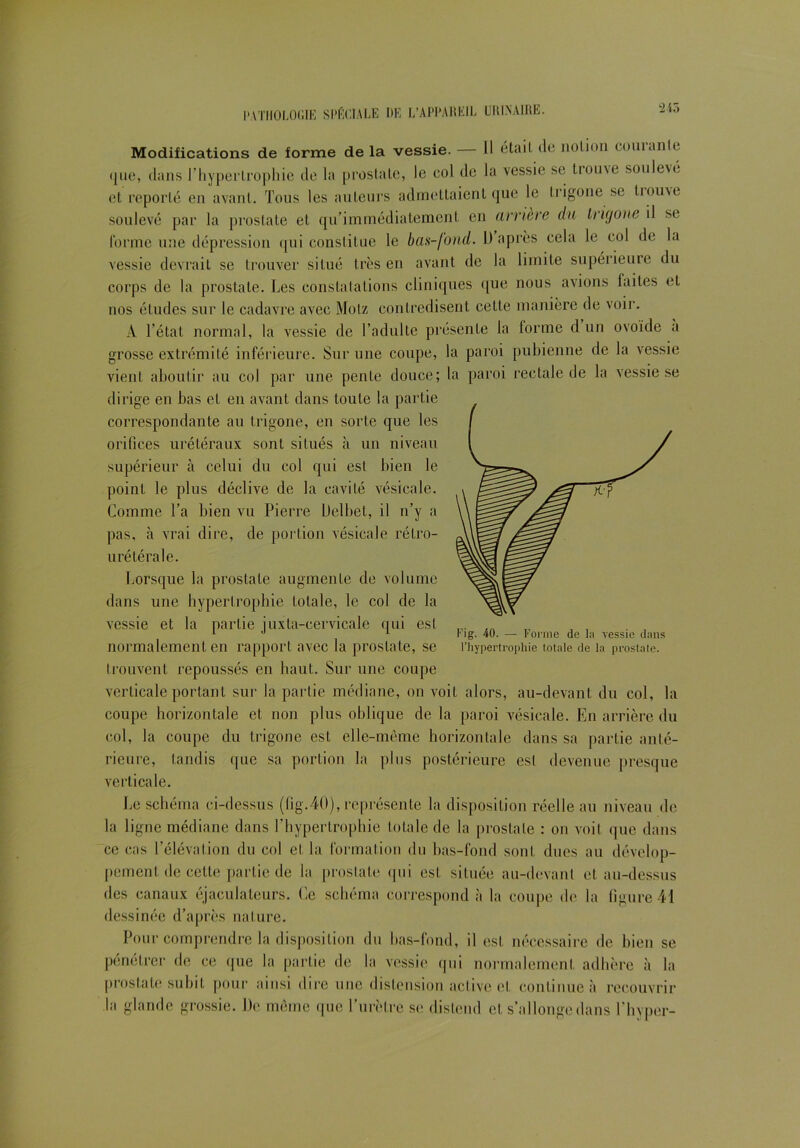 245 Modifications de forme de la vessie. — Il était, de notion courante 411e, dans l’hypertrophie de la prostate, le col de la vessie se trouve soulevé a reporté en avant. Tous les auteurs admettaient que le trigone se Douve soulevé par la prostate et qu’immédiatement en arrière du trigone il se forme une dépression qui constitue le bas-fond. D après cela le col de la vessie devrait se trouver situé très en avant de la limite supérieure du corps de la prostate. Les constatations cliniques que nous avions laites et nos études sur le cadavre avec Molz contredisent cette manière de voir. A l’état normal, la vessie de l’adulte présente la forme d un ovoïde a grosse extrémité inférieure. Sur une coupe, la paroi pubienne de la vessie vient aboutir au col par une pente douce; la paroi rectale de la vessie se dirige en bas et en avant dans toute la partie correspondante au trigone, en sorte que les orifices urétéraux sont situés à un niveau supérieur à celui du col qui est bien le point le plus déclive de la cavité vésicale. Comme l’a bien vu Pierre Delbet, il n’y a pas, à vrai dire, de portion vésicale rétro- urétérale. Lorsque la prostate augmente de volume dans une hypertrophie totale, le col de la vessie et la partie juxta-cervicale qui est normalement en rapport avec la prostate, se trouvent repoussés en haut. Sur une coupe verticale portant sur la partie médiane, on voit alors, au-devant du col, la coupe horizontale et non plus oblique de la paroi vésicale. En arrière du col, la coupe du trigone est elle-même horizontale dans sa partie anté- rieure, tandis que sa portion la plus postérieure esl devenue presque verticale. Le schéma ci-dessus (lig.40), représente la disposition réelle au niveau de la ligne médiane dans l’hypertrophie totale de la prostate : on voit que dans ce cas l’élévation du col et la formation du bas-fond sont dues au dévelop- pement de cette partie de la prostate qui est située au-devant et au-dessus des canaux éjaculateurs. Ce schéma correspond à la coupe de la figure 41 dessinée d’après nature. Pour comprendre la disposition du bas-fond, il est nécessaire de bien se pénétrer de ce que la partie de la vessie qui normalement adhère à la prostate subit pour ainsi dire une distension active et continue à recouvrir la glande grossie. De même (pie l’urètre se distend et s’allonge dans l'hyper-