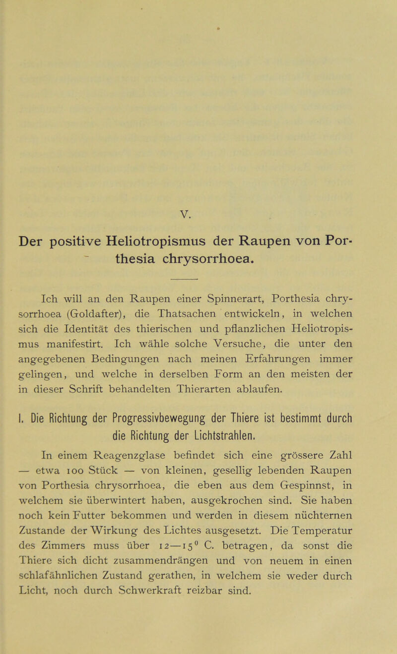 Der positive Heliotropismus der Raupen von Por- thesia chrysorrhoea. Ich will an den Raupen einer Spinnerart, Porthesia chry- sorrhoea (Goldafter), die Thatsachen entwickeln, in welchen sich die Identität des thierischen und pflanzlichen Heliotropis- mus manifestirt. Ich wähle solche Versuche, die unter den angegebenen Bedingungen nach meinen Erfahrungen immer gelingen, und welche in derselben Form an den meisten der in dieser Schrift behandelten Thierarten ablaufen. I. Die Richtung der Progressivbewegung der Thiere ist bestimmt durch die Richtung der Lichtstrahlen. In einem Reagenzglase befindet sich eine grössere Zahl — etwa ioo Stück — von kleinen, gesellig lebenden Raupen von Porthesia chrysorrhoea, die eben aus dem Gespinnst, in welchem sie überwintert haben, ausgekrochen sind. Sie haben noch kein Futter bekommen und werden in diesem nüchternen Zustande der Wirkung des Lichtes ausgesetzt. Die Temperatur des Zimmers muss über 12—150 C. betragen, da sonst die Thiere sich dicht zusammendrängen und von neuem in einen schlaf ähnlichen Zustand gerathen, in welchem sie weder durch Licht, noch durch Schwerkraft reizbar sind.