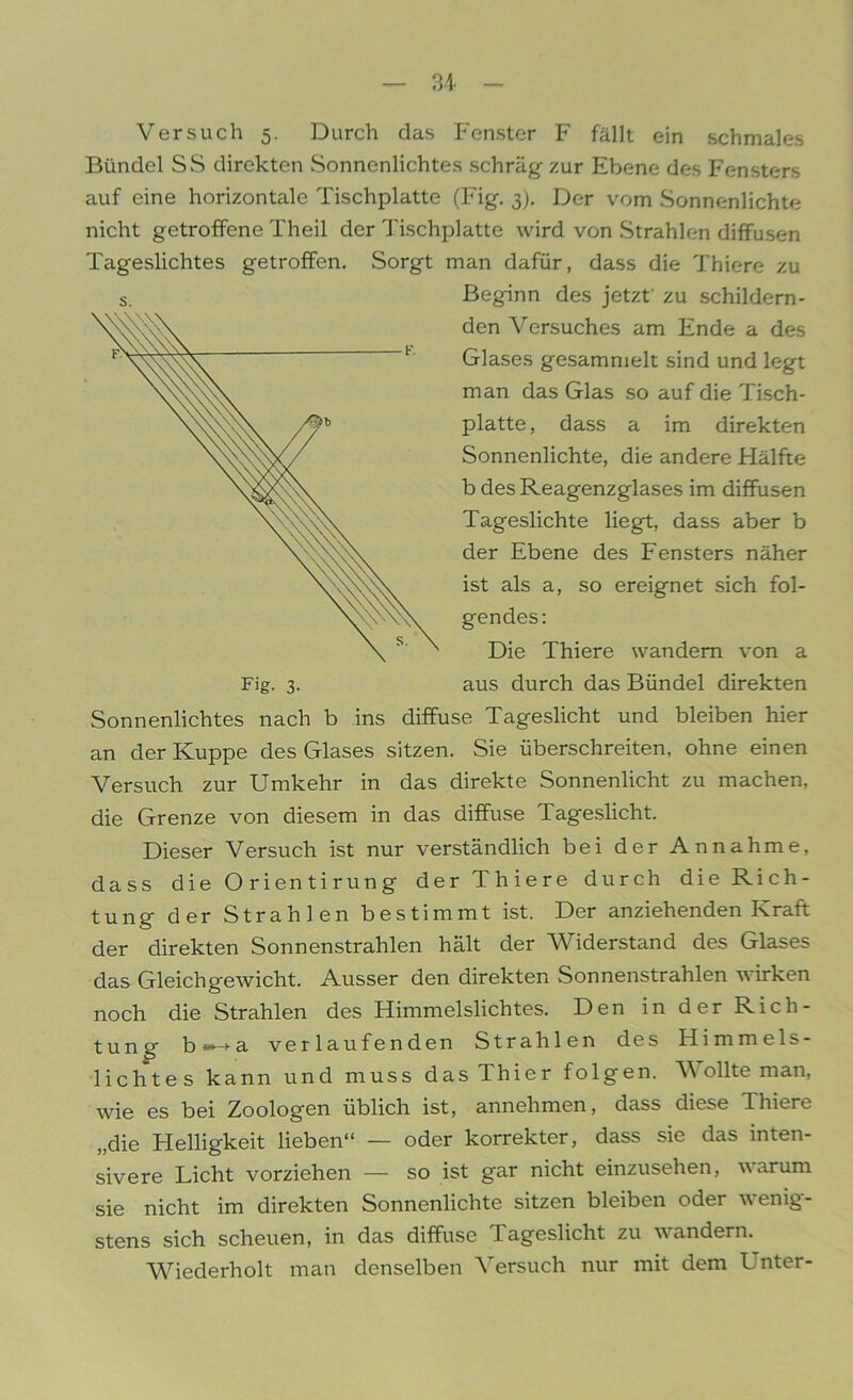 Versuch 5. Durch das Fenster F fällt ein schmales Bündel SS direkten Sonnenlichtes schräg zur Ebene des Fensters auf eine horizontale Tischplatte (Fig. 3). Der vom Sonnenlichte nicht getroffene Theil der Tischplatte wird von Strahlen diffusen Tageslichtes getroffen. Sorgt man dafür, dass die Thiere zu S. Sonnenlichtes nach b ins Beginn des jetzt zu schildern- den Versuches am Ende a des Glases gesammelt sind und legt man das Glas so auf die Tisch- platte, dass a im direkten Sonnenlichte, die andere Hälfte b des Reagenzglases im diffusen Tageslichte liegt, dass aber b der Ebene des Fensters näher ist als a, so ereignet sich fol- gendes: Die Thiere wandern von a aus durch das Bündel direkten e Tageslicht und bleiben hier an der Kuppe des Glases sitzen. Sie überschreiten, ohne einen Versuch zur Umkehr in das direkte Sonnenlicht zu machen, die Grenze von diesem in das diffuse Tageslicht. Dieser Versuch ist nur verständlich bei der Annahme, dass die Orientirung der Thiere durch die Rich- tung der Strahlen bestimmt ist. Der anziehenden Kraft der direkten Sonnenstrahlen hält der Widerstand des Glases das Gleichgewicht. Ausser den direkten Sonnenstrahlen wirken noch die Strahlen des Himmelslichtes. Den in der Rich- tung b»-+a verlaufenden Strahlen des Himmels- lichtes kann und muss das Thier folgen. W ollte man, wie es bei Zoologen üblich ist, annehmen, dass diese Thiere „die Helligkeit lieben“ — oder korrekter, dass sie das inten- sivere Licht vorziehen — so ist gar nicht einzusehen, warum sie nicht im direkten Sonnenlichte sitzen bleiben oder wenig- stens sich scheuen, in das diffuse Tageslicht zu wandern. Wiederholt man denselben Versuch nur mit dem Unter-