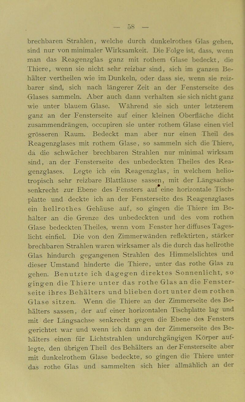 brechbaren Strahlen, welche durch dunkelrothes Glas gehen, sind nur von minimaler Wirksamkeit. Die Folge ist, dass, wenn man das Reagenzglas ganz mit rothem Glase bedeckt, die Thiere, wenn sie nicht sehr reizbar sind, sich im ganzen Be- hälter vertheilen wie im Dunkeln, oder dass sie, wenn sie reiz- barer sind, sich nach längerer Zeit an der Fensterseite des Glases sammeln. Aber auch dann verhalten sie sich nicht ganz wie unter blauem Glase. Während sie sich unter letzterem ganz an der Fensterseite auf einer kleinen Oberfläche dicht zusammendrängen, occupiren sie unter rothem Glase einen viel grösseren Raum. Bedeckt man aber nur einen Theil des Reagenzglases mit rothem Glase, so sammeln sich die Thiere, da die schwächer brechbaren Strahlen nur minimal wirksam sind, an der Fensterseite des unbedeckten Theiles des Rea- genzglases. Legte ich ein Reagenzglas, in welchem helio- tropisch sehr reizbare Blattläuse sassen, mit der Längsachse senkrecht zur Ebene des Fensters auf eine horizontale Tisch- platte und deckte ich an der Fensterseite des Reagenzglases ein hellrothes Gehäuse auf, so gingen die Thiere im Be- hälter an die Grenze des unbedeckten und des vom rothen Glase bedeckten Theiles, wenn vom Fenster her diffuses Tages- licht einfiel. Die von den Zimmerwänden reflektirten, stärker brechbaren Strahlen waren wirksamer als die durch das hellrothe Glas hindurch gegangenen Strahlen des Himmelslichtes und dieser Umstand hinderte die Thiere, unter das rothe Glas zu gehen. Benutzte ich dagegen direktes Sonnenlicht, so gfingen die Thiere unter das rothe Glas an die Fenster- seite ihres Behälters und blieben dort unter dem rothen Glase sitzen. Wenn die Thiere an der Zimmerseite des Be- hälters sassen, der auf einer horizontalen Tischplatte lag und mit der Längsachse senkrecht gegen die Ebene des Fensters gerichtet war und wenn ich dann an der Zimmerseite des Be- hälters einen für Lichtstrahlen undurchgängigen Körper aut- legte, den übrigen Theil des Behälters an der Fensterseite aber mit dunkelrothem Glase bedeckte, so gingen die Thiere unter das rothe Glas und sammelten sich hier allmählich an der