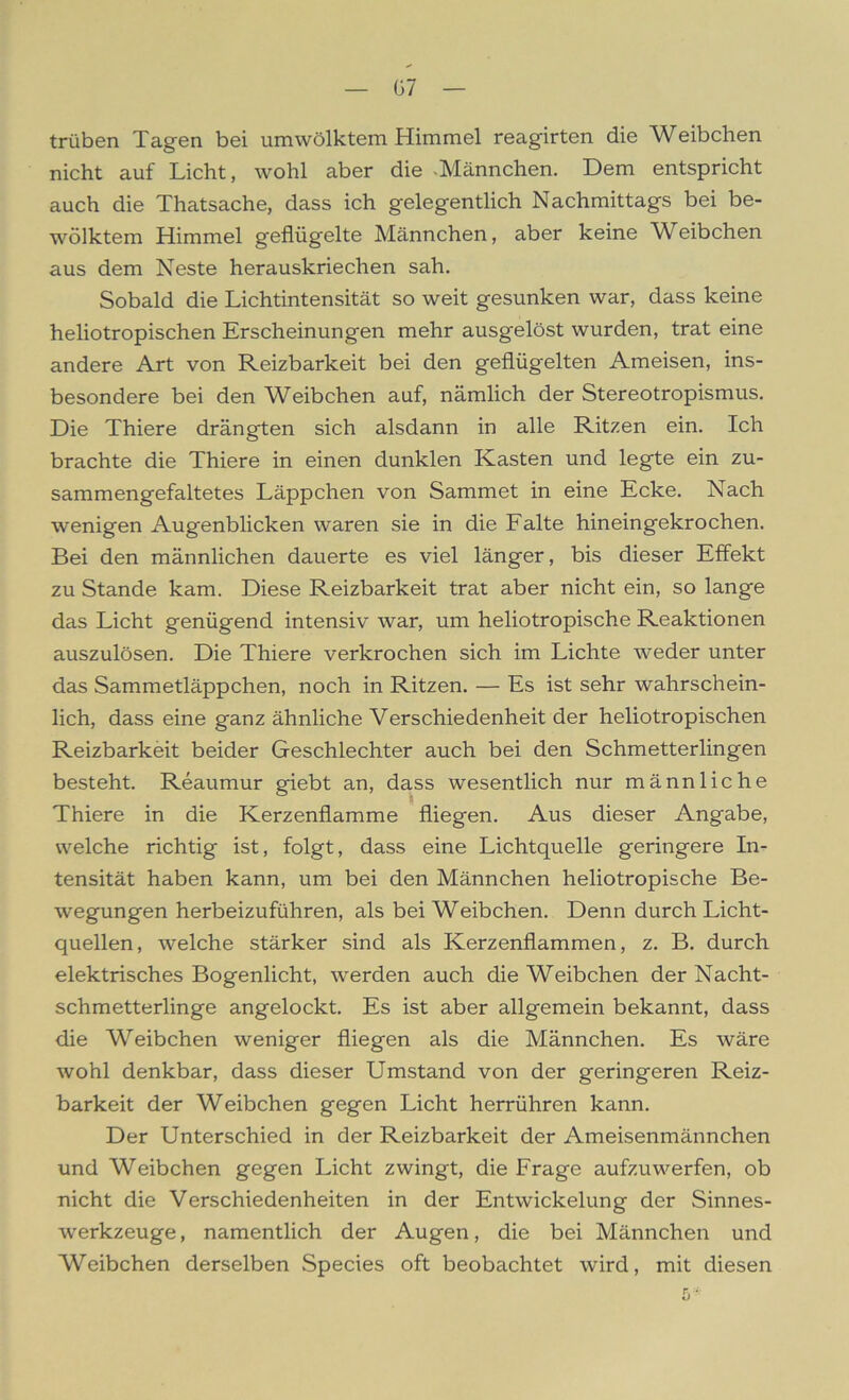 trüben Tagen bei umwölktem Himmel reagirten die Weibchen nicht auf Licht, wohl aber die -Männchen. Dem entspricht auch die Thatsache, dass ich gelegentlich Nachmittags bei be- wölktem Himmel geflügelte Männchen, aber keine Weibchen aus dem Neste herauskriechen sah. Sobald die Lichtintensität so weit gesunken war, dass keine heliotropischen Erscheinungen mehr ausgelöst wurden, trat eine andere Art von Reizbarkeit bei den geflügelten Ameisen, ins- besondere bei den Weibchen auf, nämlich der Stereotropismus. Die Thiere drängten sich alsdann in alle Ritzen ein. Ich brachte die Thiere in einen dunklen Kasten und legte ein zu- sammengefaltetes Läppchen von Sammet in eine Ecke. Nach wenigen Augenblicken waren sie in die Falte hineingekrochen. Bei den männlichen dauerte es viel länger, bis dieser Effekt zu Stande kam. Diese Reizbarkeit trat aber nicht ein, so lange das Licht genügend intensiv war, um heliotropische Reaktionen auszulösen. Die Thiere verkrochen sich im Lichte weder unter das Sammetläppchen, noch in Ritzen. — Es ist sehr wahrschein- lich, dass eine ganz ähnliche Verschiedenheit der heliotropischen Reizbarkeit beider Geschlechter auch bei den Schmetterlingen besteht. Reaumur giebt an, dass wesentlich nur männliche Thiere in die Kerzenflamme fliegen. Aus dieser Angabe, welche richtig ist, folgt, dass eine Lichtquelle geringere In- tensität haben kann, um bei den Männchen heliotropische Be- wegungen herbeizuführen, als bei Weibchen. Denn durch Licht- quellen, welche stärker sind als Kerzenflammen, z. B. durch elektrisches Bogenlicht, werden auch die Weibchen der Nacht- schmetterlinge angelockt. Es ist aber allgemein bekannt, dass die Weibchen weniger fliegen als die Männchen. Es wäre wohl denkbar, dass dieser Umstand von der geringeren Reiz- barkeit der Weibchen gegen Licht herrühren kann. Der Unterschied in der Reizbarkeit der Ameisenmännchen und Weibchen gegen Licht zwingt, die Frage aufzuwerfen, ob nicht die Verschiedenheiten in der Entwickelung der Sinnes- werkzeuge , namentlich der Augen, die bei Männchen und Weibchen derselben Species oft beobachtet wird, mit diesen