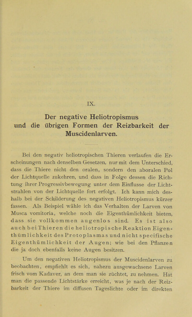 Der negative Heliotropismus und die übrigen Formen der Reizbarkeit der Muscidenlarven. Bei den negativ heliotropischen Thieren verlaufen die Er- scheinungen nach denselben Gesetzen, nur mit dem Unterschied, dass die Thiere nicht den oralen, sondern den aboralen Pol der Lichtquelle zukehren, und dass in Folge dessen die Rich- tung ihrer Progressivbewegung unter dem Einflüsse der Licht- strahlen von der Lichtquelle fort erfolgt. Ich kann mich des- halb bei der Schilderung des negativen Pleliotropismus kürzer fassen. Als Beispiel wähle ich das Verhalten der Larven von Musca vomitoria, welche noch die Eigenthümlichkeit bieten, dass sie vollkommen augenlos sind. Es ist also auch beiThieren dieheliotropischeReaktionEigen- thümlichkeit desProtoplasmas und nicht specifische Eigenthümlichkeit der Augen; wie bei den Pflanzen die ja doch ebenfalls keine Augen besitzen. Um den negativen Heliotropismus der Muscidenlarven zu beobachten, empfiehlt es sich, nahezu ausgewachsene Larven frisch vom Kadaver, an dem man sie züchtet, zu nehmen. Hat man die passende Lichtstärke erreicht, was je nach der Reiz- barkeit der Thiere im diffusen Tageslichte oder im direkten