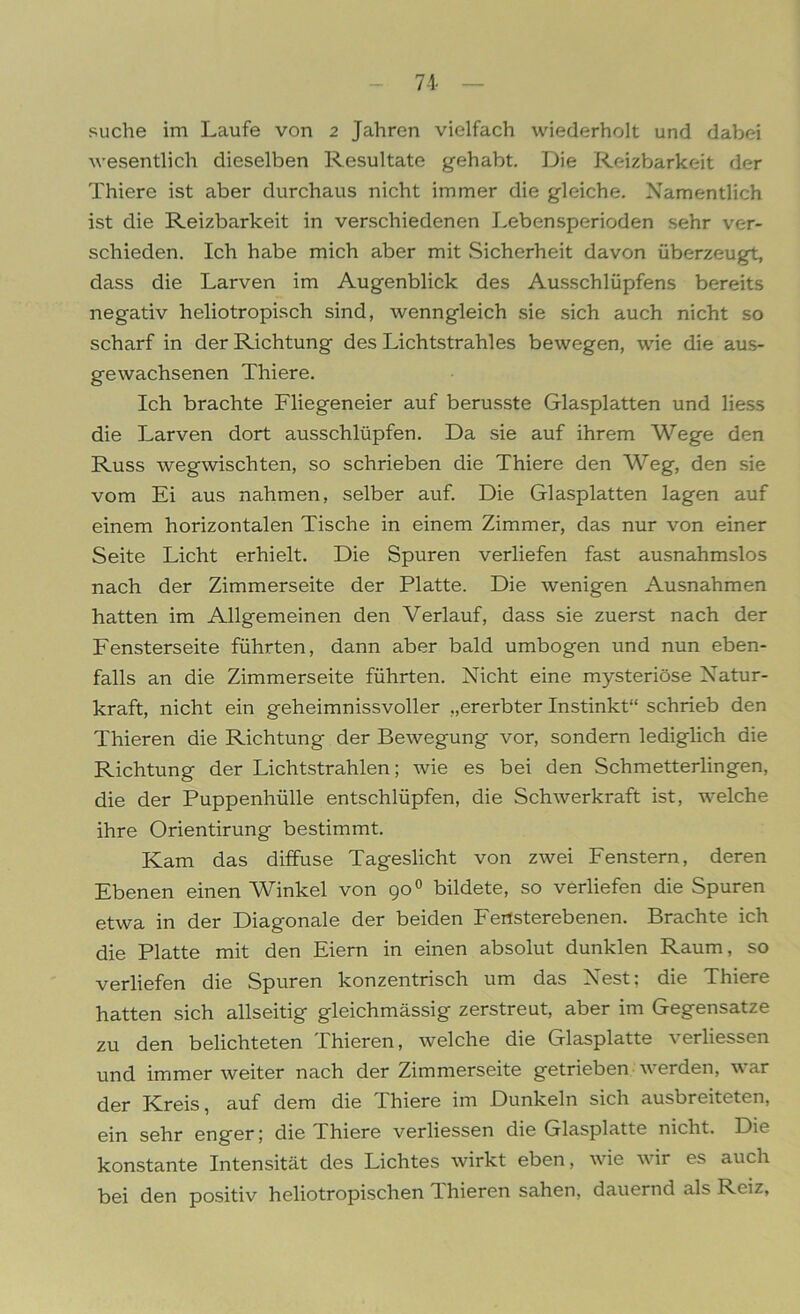 suche im Laufe von 2 Jahren vielfach wiederholt und dabei wesentlich dieselben Resultate gehabt. Die Reizbarkeit der Thiere ist aber durchaus nicht immer die gleiche. Namentlich ist die Reizbarkeit in verschiedenen Lebensperioden sehr ver- schieden. Ich habe mich aber mit Sicherheit davon überzeugt, dass die Larven im Augenblick des Ausschlüpfens bereits negativ heliotropisch sind, wenngleich sie sich auch nicht so scharf in der Richtung des Lichtstrahles bewegen, wie die aus- gewachsenen Thiere. Ich brachte Fliegeneier auf berusste Glasplatten und liess die Larven dort ausschlüpfen. Da sie auf ihrem Wege den Russ wegwischten, so schrieben die Thiere den Weg, den sie vom Ei aus nahmen, selber auf. Die Glasplatten lagen auf einem horizontalen Tische in einem Zimmer, das nur von einer Seite Licht erhielt. Die Spuren verliefen fast ausnahmslos nach der Zimmerseite der Platte. Die wenigen Ausnahmen hatten im Allgemeinen den Verlauf, dass sie zuerst nach der Fensterseite führten, dann aber bald umbogen und nun eben- falls an die Zimmerseite führten. Nicht eine mysteriöse Natur- kraft, nicht ein geheimnisvoller „ererbter Instinkt“ schrieb den Thieren die Richtung der Bewegung vor, sondern lediglich die Richtung der Lichtstrahlen; wie es bei den Schmetterlingen, die der Puppenhülle entschlüpfen, die Schwerkraft ist, welche ihre Orientirung bestimmt. Kam das diffuse Tageslicht von zwei Fenstern, deren Ebenen einen Winkel von 900 bildete, so verliefen die Spuren etwa in der Diagonale der beiden Fertsterebenen. Brachte ich die Platte mit den Eiern in einen absolut dunklen Raum, so verliefen die Spuren konzentrisch um das Nest: die Thiere hatten sich allseitig gleichmässig zerstreut, aber im Gegensätze zu den belichteten Thieren, welche die Glasplatte verliessen und immer weiter nach der Zimmerseite getrieben werden, war der Kreis, auf dem die Thiere im Dunkeln sich ausbreiteten, ein sehr enger; die Thiere verliessen die Glasplatte nicht. Die konstante Intensität des Lichtes wirkt eben, wie wir es auch bei den positiv heliotropischen Thieren sahen, dauernd als Reiz,
