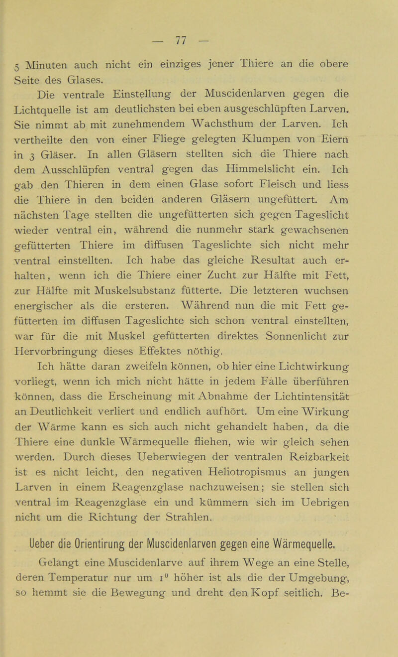 5 Minuten auch nicht ein einziges jener Thiere an die obere Seite des Glases. Die ventrale Einstellung der Muscidenlarven gegen die Lichtquelle ist am deutlichsten bei eben ausgeschlüpften Larven. Sie nimmt ab mit zunehmendem Wachsthum der Larven. Ich vertheilte den von einer Fliege gelegten Klumpen von Eiern in 3 Gläser. In allen Gläsern stellten sich die Thiere nach dem Ausschlüpfen ventral gegen das Himmelslicht ein. Ich gab den Thieren in dem einen Glase sofort Fleisch und liess die Thiere in den beiden anderen Gläsern ungefüttert. Am nächsten Tage stellten die ungefütterten sich gegen Tageslicht wieder ventral ein, während die nunmehr stark gewachsenen gefütterten Thiere im diffusen Tageslichte sich nicht mehr ventral einstellten. Ich habe das gleiche Resultat auch er- halten, wenn ich die Thiere einer Zucht zur Hälfte mit Fett, zur Hälfte mit Muskelsubstanz fütterte. Die letzteren wuchsen energischer als die ersteren. Während nun die mit Fett ge- fütterten im diffusen Tageslichte sich schon ventral einstellten, war für die mit Muskel gefütterten direktes Sonnenlicht zur Hervorbringung dieses Effektes nöthig. Ich hätte daran zweifeln können, ob hier eine Lichtwirkung vorliegt, wenn ich mich nicht hätte in jedem Falle überführen können, dass die Erscheinung mit Abnahme der Lichtintensität an Deutlichkeit verliert und endlich aufhört. Um eine Wirkung der Wärme kann es sich auch nicht gehandelt haben, da die Thiere eine dunkle Wärmequelle fliehen, wie wir gleich sehen werden. Durch dieses Ueberwiegen der ventralen Reizbarkeit ist es nicht leicht, den negativen Heliotropismus an jungen Larven in einem Reagenzglase nachzuweisen; sie stellen sich ventral im Reagenzglase ein und kümmern sich im Uebrigen nicht um die Richtung der Strahlen. lieber die Orientirung der Muscidenlarven gegen eine Wärmequelle. Gelangt eine Muscidenlarve auf ihrem Wege an eine Stelle, deren Temperatur nur um iu höher ist als die der Umgebung, so hemmt sie die Bewegung und dreht den Kopf seitlich. Be-