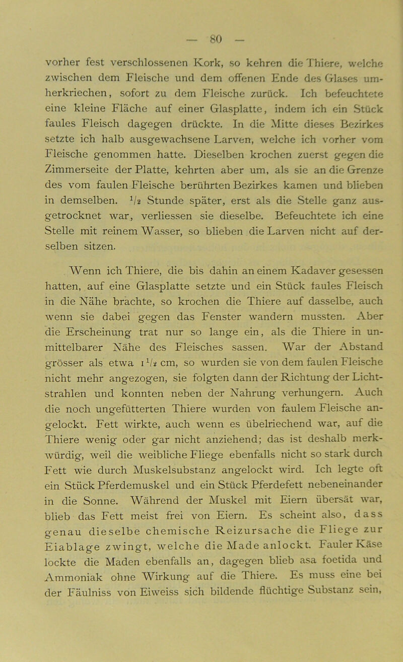 vorher fest verschlossenen Kork, so kehren die Thiere, welche zwischen dem Fleische und dem offenen Ende des Glases um- herkriechen , sofort zu dem Fleische zurück. Ich befeuchtete eine kleine Fläche auf einer Glasplatte, indem ich ein Stück faules Fleisch dagegen drückte. In die Mitte dieses Bezirkes setzte ich halb ausgewachsene Larven, welche ich vorher vom Fleische genommen hatte. Dieselben krochen zuerst gegen die Zimmerseite der Platte, kehrten aber um, als sie an die Grenze des vom faulen Fleische berührten Bezirkes kamen und blieben in demselben. V2 Stunde später, erst als die Stelle ganz aus- getrocknet war, verliessen sie dieselbe. Befeuchtete ich eine Stelle mit reinem Wasser, so blieben die Larven nicht auf der- selben sitzen. Wenn ich Thiere, die bis dahin an einem Kadaver gesessen hatten, auf eine Glasplatte setzte und ein Stück faules Fleisch in die Nähe brachte, so krochen die Thiere auf dasselbe, auch wenn sie dabei gegen das Fenster wandern mussten. Aber die Erscheinung trat nur so lange ein, als die Thiere in un- mittelbarer Nähe des Fleisches sassen. War der Abstand grösser als etwa 1 lU cm, so wurden sie von dem faulen Fleische nicht mehr angezogen, sie folgten dann der Richtung der Licht- strahlen und konnten neben der Nahrung verhungern. Auch die noch ungefütterten Thiere wurden von faulem Fleische an- gelockt. Fett wirkte, auch wenn es übelriechend war, auf die Thiere wenig oder gar nicht anziehend; das ist deshalb merk- würdig, weil die weibliche Fliege ebenfalls nicht so stark durch Fett wie durch Muskelsubstanz angelockt wird. Ich legte oft ein Stück Pferdemuskel und ein Stück Pferdefett nebeneinander in die Sonne. Während der Muskel mit Eiern übersät war, blieb das Fett meist frei von Eiern. Es scheint also, dass genau dieselbe chemische Reizursache die Fliege zur Eiablage zwingt, welche die Made anlockt. Fauler Käse lockte die Maden ebenfalls an, dagegen blieb asa foetida und Ammoniak ohne Wirkung auf die Thiere. Es muss eine bei der Fäulniss von Eiweiss sich bildende flüchtige Substanz sein,