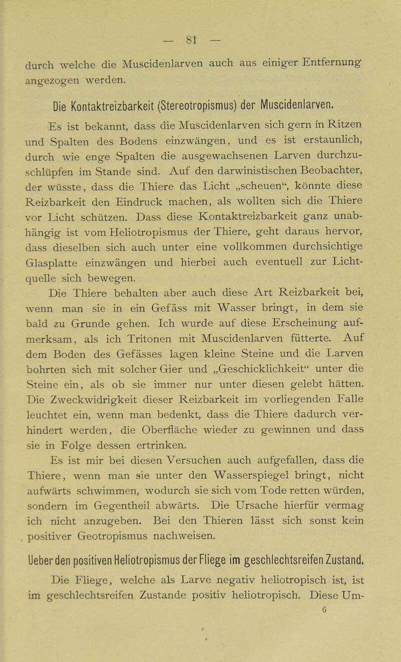 durch welche die Muscidenlarven auch aus einiger Entfernung angezogen werden. Die Kontaktreizbarkeit (Stereotropismus) der Muscidenlarven. Es ist bekannt, dass die Muscidenlarven sich gern in Ritzen und Spalten des Bodens einzwängen, und es ist erstaunlich, durch wie enge Spalten die ausgewachsenen Larven durchzu- schlüpfen im Stande sind. Auf den darwinistischen Beobachter, der wüsste, dass die Thiere das Licht „scheuen“, könnte diese Reizbarkeit den Eindruck machen, als wollten sich die Thiere vor Licht schützen. Dass diese Kontaktreizbarkeit ganz unab- hängig ist vom Heliotropismus der Thiere, geht daraus hervor, dass dieselben sich auch unter eine vollkommen durchsichtige Glasplatte einzwängen und hierbei auch eventuell zur Licht- quelle sich bewegen. Die Thiere behalten aber auch diese Art Reizbarkeit bei, wenn man sie in ein Gefäss mit Wasser bringt, in dem sie bald zu Grunde gehen. Ich wurde auf diese Erscheinung auf- merksam, als ich Tritonen mit Muscidenlarven fütterte. Auf dem Boden des Gefässes lagen kleine Steine und die Larven bohrten sich mit solcher Gier und „Geschicklichkeit“ unter die Steine ein, als ob sie immer nur unter diesen gelebt hätten. Die Zweckwidrigkeit dieser Reizbarkeit im vorliegenden Falle leuchtet ein, wenn man bedenkt, dass die Thiere dadurch ver- hindert werden, die Oberfläche wieder zu gewinnen und dass sie in Folge dessen ertrinken. Es ist mir bei diesen Versuchen auch aufgefallen, dass die Thiere, wenn man sie unter den Wasserspiegel bringt, nicht aufwärts schwimmen, wodurch sie sich vom Tode retten würden, sondern im Gegentheil abwärts. Die Ursache hierfür vermag ich nicht anzugeben. Bei den Thieren lässt sich sonst kein positiver Geotropismus nachweisen. Lieber den positiven Heliotropismus der Fliege im geschlechtsreifen Zustand. Die Fliege, welche als Larve negativ heliotropisch ist, ist im geschlechtsreifen Zustande positiv heliotropisch. Diese Um- 6