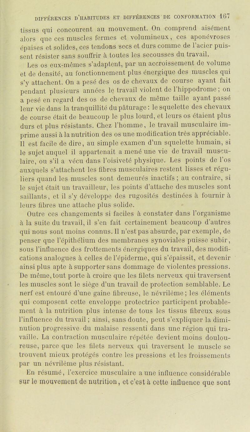 tissus qui concourent au mouvement. On comprend aisément alors que ces muscles fermes et volumineux, ces aponévroses épaises et solides, ces tendons secs et durs comme de 1 acier puis- sent résister sans souffrir à toutes les secousses du travail. Les os eux-mêmes s’adaptent, par un accroissement de volume et de densité, au fonctionnement plus énergique des muscles qui s’y attachent. On a pesé des os de chevaux de course ayant fait pendant plusieurs années le travail violent de l’hippodrome ; on a pesé en regard des os de chevaux de même taille ayant passé leur vie dans la tranquillité du pâturage: le squelette des chevaux de course était de beaucoup le plus lourd, et leurs os étaient plus durs et plus résistants. Chez l’homme, le travail musculaire im- prime aussi à la nutrition des os une modification très appréciable. Il est facile de dire, au simple examen d’un squelette humain, si le sujet auquel il appartenait a mené une vie de travail muscu- laire, ou s’il a vécu dans l’oisiveté physique. Les points de l’os auxquels s’attachent les fibres musculaires restent lisses et régu- liers quand les muscles sont demeurés inactifs ; au contraire, si le sujet était un travailleur, les points d’attache des muscles sont saillants, et il s’y développe des rugosités destinées à fournir à leurs fibres une attache plus solide. Outre ces changements si faciles à constater dans l’organisme à la suite du travail, il s’en fait certainement beaucoup d’autres qui nous sont moins connus. Il n’est pas absurde, par exemple, de penser que l’épithélium des membranes synoviales puisse subir, sous l’influence des frottements énergiques du travail, des modifi- cations analogues à celles de l’épiderme, qui s’épaissit, et devenir ainsi plus apte à supporter sans dommage de violentes pressions. De môme, tout porte à croire que les filets nerveux qui traversent les muscles sont le siège d’un travail de protection semblable. Le nerf est entouré d’une gaine fibreuse, le névrilème ; les éléments qui composent cette enveloppe protectrice participent probable- ment à la nutrition plus intense de tous les tissus fibreux sous l’influence du travail ; ainsi, sans doute, peut s’expliquer la dimi- nution progressive du malaise ressenti dans une région qui tra- vaille. La contraction musculaire répétée devient moins doulou- reuse, parce que les filets nerveux qui traversent le muscle se trouvent mieux protégés contre les pressions et les froissements par un névrilème plus résistant. En résumé, l’exercice musculaire a une inlluence considérable sur le mouvement de nutrition, et c’est h cette influence que sont