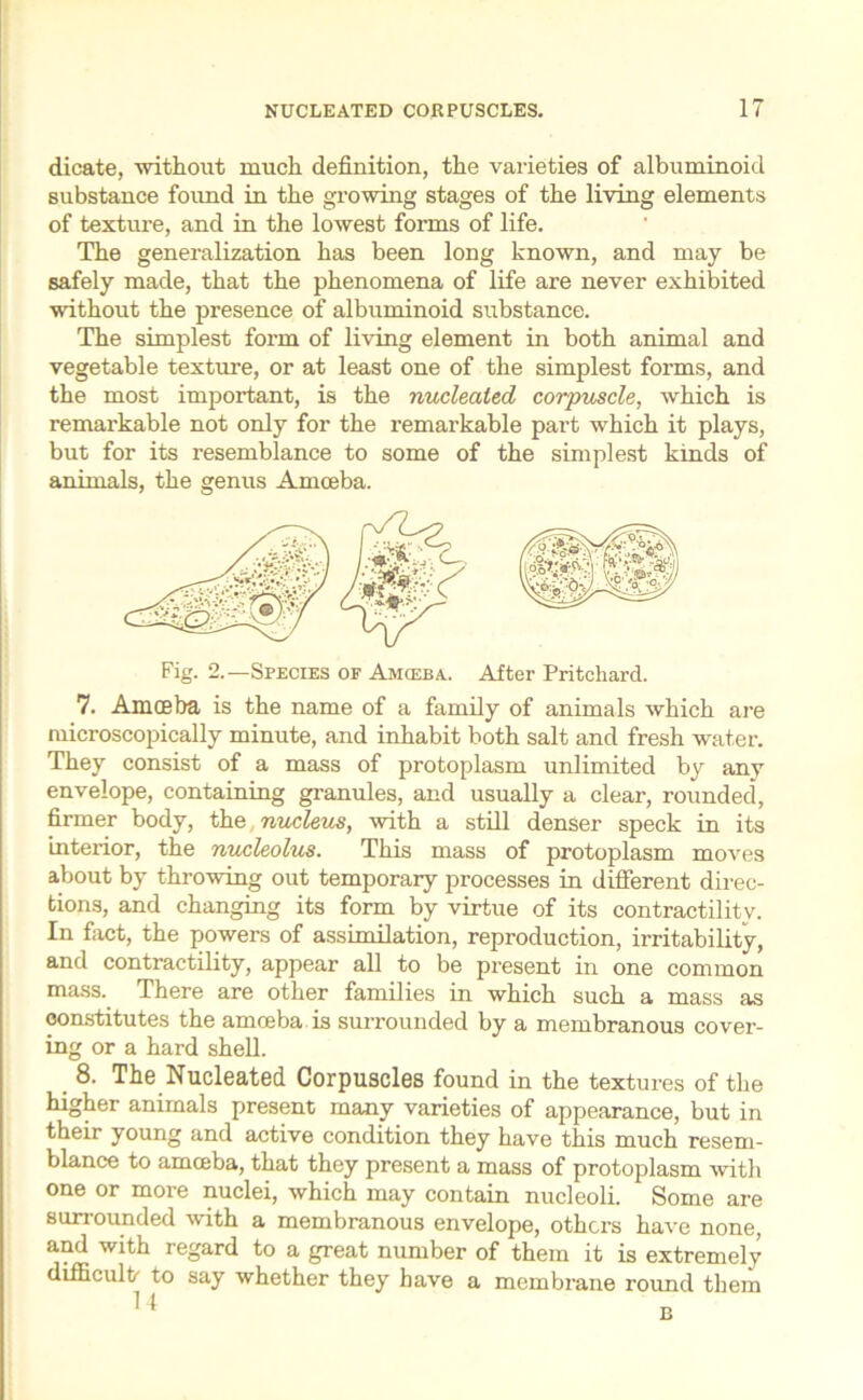 dicate, without much definition, the varieties of albuminoid substance found in the growing stages of the living elements of texture, and in the lowest forms of life. The generalization has been long known, and may be safely made, that the phenomena of life are never exhibited without the presence of albuminoid substance. The simplest foi’m of living element in both animal and vegetable texture, or at least one of the simplest forms, and the most important, is the nucleated corpuscle, which is remarkable not only for the remarkable part which it plays, but for its resemblance to some of the simplest kinds of animals, the genus Amoeba. Fig. 2.—Species of Amceba. After Pritchard. 7. Amoeba is the name of a family of animals which are microscopically minute, and inhabit both salt and fresh water. They consist of a mass of protoplasm unlimited by any envelope, containing granules, and usually a clear, rounded, firmer body, the nucleus, with a still denser speck in its interior, the nucleolus. This mass of protoplasm moves about by throwing out temporary processes in different direc- tions, and changing its form by virtue of its contractility. In fact, the powers of assimilation, reproduction, irritability, and contractility, appear all to be present in one common mass. There are other families in which such a mass as constitutes the amoeba is surrounded by a membranous cover- ing or a hard shell. 8. The Nucleated Corpuscles found in the textures of the higher animals present many varieties of appearance, but in their young and active condition they have this much resem- blance to amceba, that they present a mass of protoplasm with one or more nuclei, which may contain nucleoli. Some are surrounded with a membranous envelope, others have none, and with regard to a great number of them it is extremely difficult to say whether they have a membrane round them -n