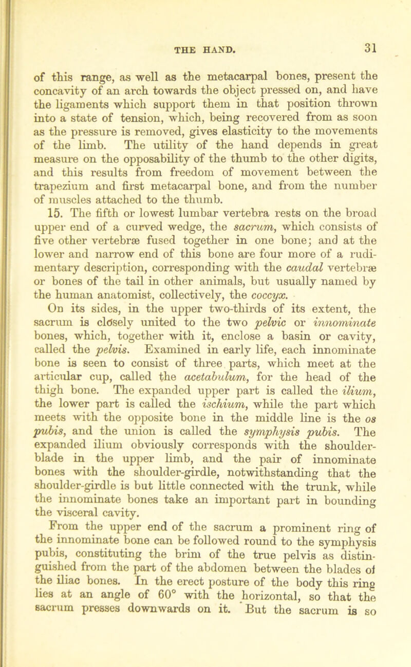 of this range, as well as the metacarpal bones, present the concavity of an arch towards the object pressed on, and have the ligaments which support them in that position thrown into a state of tension, which, being recovered from as soon as the pressure is removed, gives elasticity to the movements of the limb. The utility of the hand depends in great measure on the opposability of the thumb to the other digits, and this results from freedom of movement between the trapezium and first metacarpal bone, and from the number of muscles attached to the thumb. 15. The fifth or lowest lumbar vertebra rests on the broad upper end of a curved wedge, the sacrum, which consists of five other vertebrae fused together in one bone; and at the lower and narrow end of this bone are four more of a rudi- mentary description, corresponding with the caudal vertebrae or bones of the tail in other animals, but usually named by the human anatomist, collectively, the coccyx. On its sides, in the upper two-thirds of its extent, the sacrum is clcJsely united to the two pelvic or innominate bones, which, together with it, enclose a basin or cavity, called the pelvis. Examined in early life, each innominate bone is seen to consist of three parts, which meet at the articular cup, called the acetabulum, for the head of the thigh bone. The expanded upper part is called the ilium, the lower part is called the ischium, while the part which meets with the opposite bone in the middle line is the os pubis, and the union is called the symphysis pubis. The expanded ilium obviously corresponds with the shoulder- blade in the upper limb, and the pair of innominate bones with the shoulder-girdle, notwithstanding that the shoulder-girdle is but little connected with the trunk, while the innominate bones take an important part in bounding the visceral cavity. From the upper end of the sacrum a prominent ring of the innominate bone can be followed round to the symphysis pubis, constituting the brim of the true pelvis as distin- guished from the part of the abdomen between the blades ol the iliac bones. In the erect posture of the body this ring lies at an angle of 60° with the horizontal, so that the sacrum presses downwards on it. But the sacrum is so