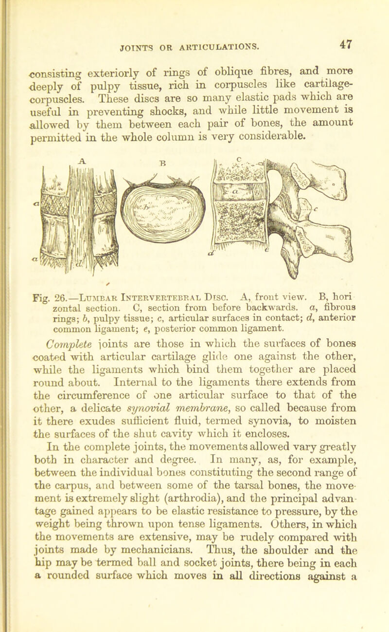 JOINTS OR ARTICULATIONS. consisting exteriorly of rings of oblique fibres, and more deeply of pulpy tissue, rich in corpuscles like cartilage- corpuscles. These discs are so many elastic pads which are useful in preventing shocks, and while little movement is allowed by them between each pair of bones, the amount permitted in the whole column is very considerable. Fig. 26.—Lumbar Intervertebral Disc. A, front view. B, hori zontal section. C, section from before backwards, a, fibrous rings; b, pulpy tissue; c, articular surfaces in contact; d, anterior common ligament; e, posterior common ligament. Complete joints are those in which the surfaces of bones coated with articular cartilage glide one against the other, while the ligaments which bind them together are placed round about. Internal to the ligaments there extends from the circumference of one articular surface to that of the other, a delicate synovial membrane, so called because from it there exudes sufficient fluid, termed synovia, to moisten the surfaces of the shut cavity which it encloses. In the complete joints, the movements allowed vary greatly both in character and degree. In many, as, for example, between the individual bones constituting the second range of the carpus, and between some of the tarsal bones, the move- ment is extremely slight (arthrodia), and the principal advan tage gained appears to be elastic resistance to pressure, by the weight being thrown upon tense ligaments. Others, in which the movements are extensive, may be rudely compared with joints made by mechanicians. Thus, the shoulder and the hip may be termed ball and socket joints, there being in each a rounded surface which moves in all directions against a
