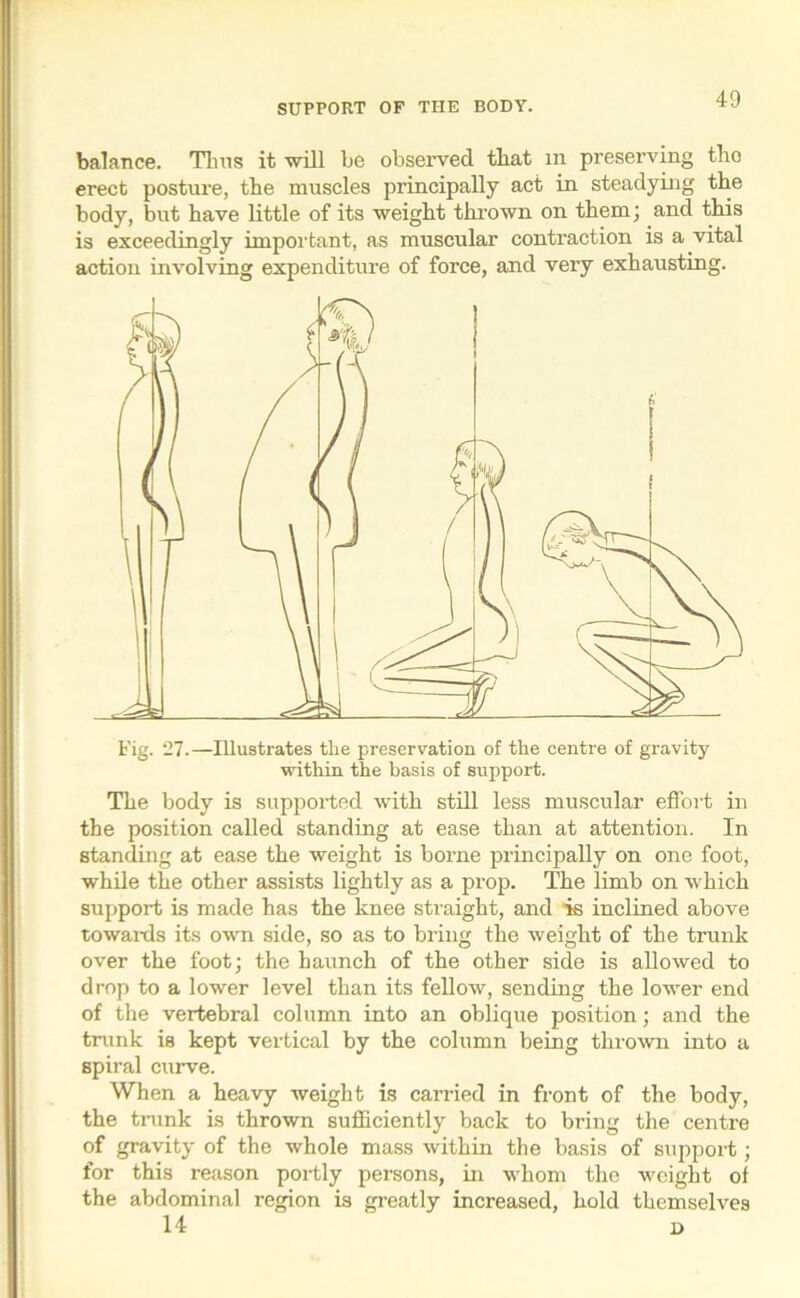 SUPPORT OF THE BODY. balance. Thus it will be observed that in preserving tbo erect posture, tbe muscles principally act in steadying the body, but have little of its weight thrown on them; and this is exceedingly important, as muscular contraction is a vital action involving expenditure of force, and very exhausting. the position called standing at ease than at attention. In standing at ease the weight is borne principally on one foot, while the other assists lightly as a prop. The limb on which support is made has the knee straight, and is inclined above towards its own side, so as to bring the weight of the trunk over the foot; the haunch of the other side is allowed to drop to a lower level than its fellow, sending the lower end of the vertebral column into an oblique position; and the trunk is kept vertical by the column being thrown into a spiral curve. When a heavy weight is carried in front of the body, the trunk is thrown sufficiently back to bring the centre of gravity of the whole mass within the basis of support; for this reason portly persons, in whom the weight of the abdominal region is greatly increased, hold themselves 14 D