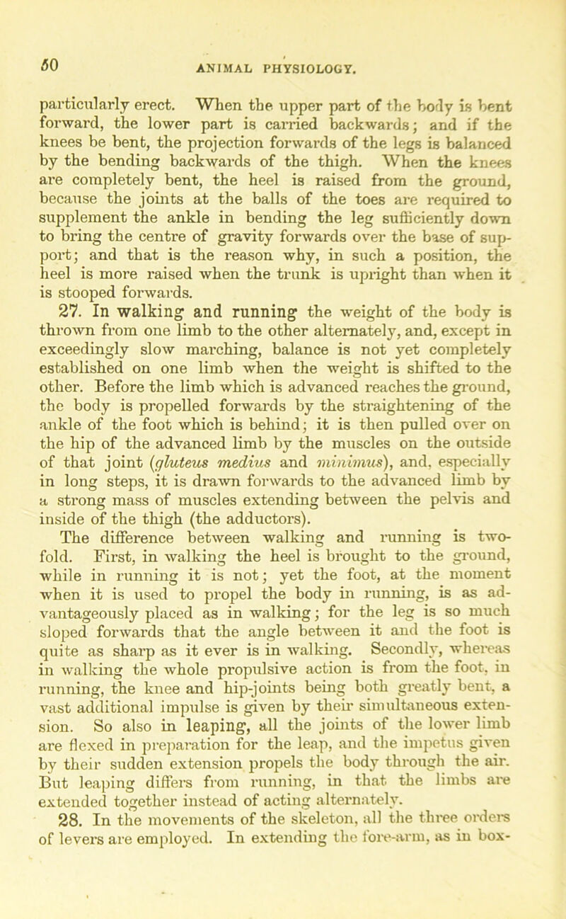 particularly erect. When the upper part of the borly is bent forward, the lower part is carried backwards; and if the knees be bent, the projection forwards of the legs is balanced by the bending backwards of the thigh. When the knees are completely bent, the heel is raised from the ground, because the joints at the balls of the toes are required to supplement the ankle in bending the leg sufficiently down to bring the centre of gravity forwards over the base of sup- port; and that is the reason why, in such a position, the heel is more raised when the trunk is upright than when it is stooped forwards. 27. In walking and running the weight of the body is thrown from one limb to the other alternately, and, except in exceedingly slow marching, balance is not yet completely established on one limb when the weight is shifted to the other. Before the limb which is advanced reaches the ground, the body is propelled forwards by the straightening of the ankle of the foot which is behind; it is then pulled over on the hip of the advanced limb by the muscles on the outside of that joint (gluteus medius and minimus), and, especially in long steps, it is drawn forwards to the advanced limb by a strong mass of muscles extending between the pelvis and inside of the thigh (the adductors). The difference between walking and running is two- fold. First, in walking the heel is brought to the ground, while in running it is not; yet the foot, at the moment when it is used to propel the body in running, is as ad- vantageously placed as in walking; for the leg is so much sloped forwards that the angle between it and the foot is quite as sharp as it ever is in walking. Secondly, whereas in walking the whole propulsive action is from the foot, in running, the knee and hip-joints being both greatly bent, a vast additional impulse is given by their simultaneous exten- sion. So also in leaping, all the joints of the lower limb are flexed in preparation for the leap, and the impetus given by their sudden extension propels the body through the air. But leaping differs from running, in that the limbs are extended together instead of acting alternately. 28. In the movements of the skeleton, all the three orders of levers are employed. In extending the fore-arm, as in box-