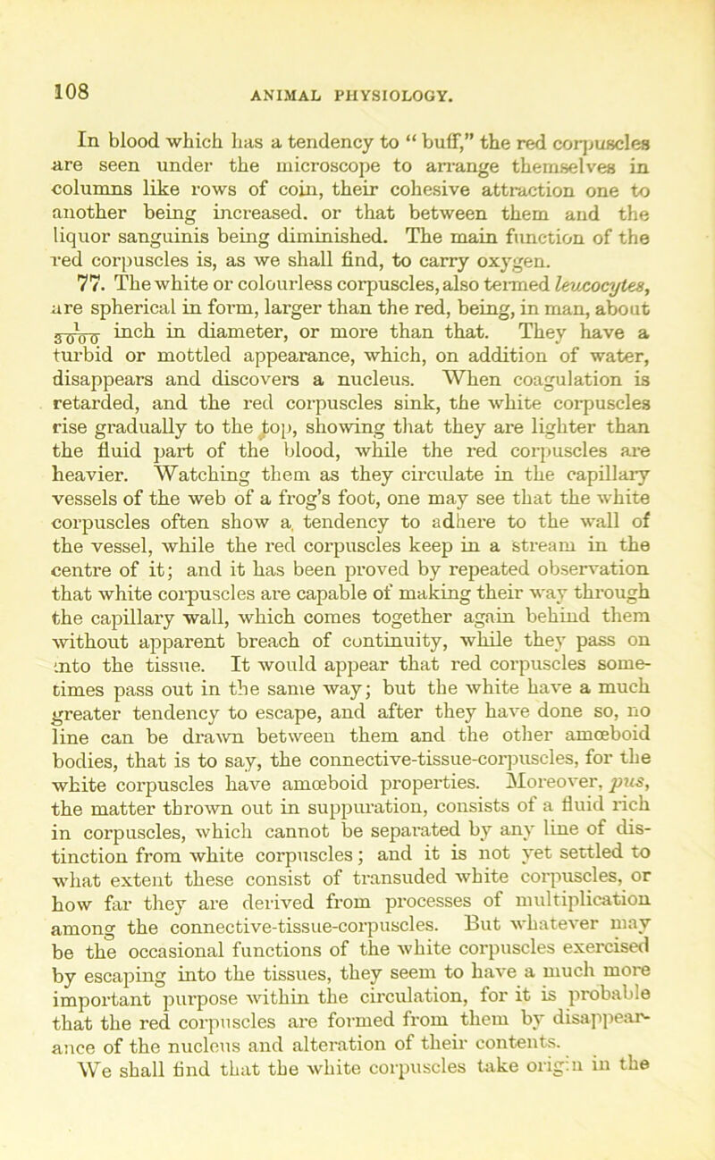 In blood which has a tendency to “ buff,” the red coqjuscles are seen under the microscope to arrange themselves in columns like rows of coin, their cohesive attraction one to another being increased, or that between them and the liquor sanguinis being diminished. The main function of the red corpuscles is, as we shall find, to carry oxygen. 77. The white or colourless corpuscles, also termed leucocytes, are spherical in fonn, larger than the red, being, in man, about .TcroTT i11^ in diameter, or more than that. They have a turbid or mottled appearance, which, on addition of water, disappears and discovers a nucleus. When coagulation is retarded, and the red corpuscles sink, the white corpuscles rise gradually to the top, showing that they are lighter than the fluid part of the blood, while the red corpuscles are heavier. Watching them as they circulate in the capillary vessels of the web of a frog’s foot, one may see that the white corpuscles often show a. tendency to adhere to the wall of the vessel, while the red corpuscles keep in a stream in the centre of it; and it has been proved by repeated observation that white corpuscles are capable of making their way through the capillary wall, which comes together again behind them without apparent breach of continuity, while they pass on into the tissue. It would appear that red corpuscles some- times pass out in the same way; but the white have a much greater tendency to escape, and after they have done so, no line can be drawn between them and the other amoeboid bodies, that is to say, the connective-tissue-corpuscles, for the white corpuscles have amoeboid properties. Moreover, pus, the matter thrown out in suppuration, consists ol a fluid rich in corpuscles, which cannot be separated by any line of dis- tinction from white corpuscles; and it is not yet settled to what extent these consist of transuded white corpuscles, or how far they are derived from processes of multiplication among the connective-tissue-corpuscles. But whatever may be the occasional functions of the white corpuscles exercised by escaping into the tissues, they seem to have a much more important purpose within the circulation, for it is probable that the red corpuscles are formed from them by disappear- ance of the nucleus and alteration of their contents. We shall find that the white corpuscles take origin in the