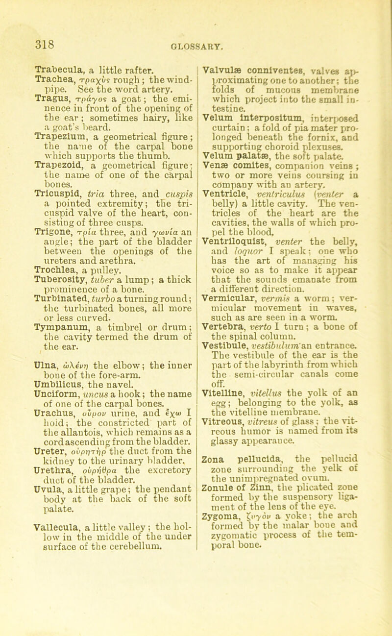 Trabecula, a little rafter. Trachea, Tpa^vi rough; the wind- pipe. See the word artery. Tragus, -rpuyos a goat; the emi- nence in front of the opening of the ear; sometimes hairy, like a goat’s heard. Trapezium, a geometrical figure; the name of the carpal bone which supports the thumb. Trapezoid, a geometrical figure; the name of one of the carpal bones. Tricuspid, tria three, and cuspis a pointed extremity; the tri- cuspid valve of the heart, con- sisting of three cusps. Trigone, rpla three, and ywvia an augle; the part of the bladder between the openings of the ureters and arethra. Trochlea, a pulley. Tuberosity, tuber a lump; a thick prominence of a bone. Turbinated, turbo a turning rouud; the turbinated bones, all more or less curved. Tympanum, a timbrel or drum; the cavity termed the drum of the ear. Ulna, tuXeVij the elbow; the inner bone of the fore-arm. Umbilicus, the navel. Unciform, uncus a hook; the name of one of the carpal bones. Urachus, uvpov urine, and ex< I hoid; the constricted part of the allantois, which remains as a cord ascending from the bladder. Ureter, oiipp-rnp the duct from the kidney to the urinary bladder. Urethra, ovpntipa the excretory duct of the bladder. Uvula, a little grape; the pendant body at the back of the soft palate. Vallecula, a little valley; the hol- low in the middle of the under surface of the cerebellum. Valvulse conniventes, valves ap- proximating one to another; the folds of mucous membrane which project into the small in- testine. Velum interpositum, interposed curtain; a fold of pia mater pro- longed beneath the fornix, and supporting choroid plexuses. Velum palatae, the soft palate. Venae comites, companion veins ; two or more veins coursing in company with an artery. Ventricle, venlriculus (■venter a belly) a little cavity. The ven- tricles of the heart are the cavities, the walls of which pro- pel the blood. Ventriloquist, venter the belly, and loquor I speak; one who has the art of managing his voice so as to make it appear that the sounds emanate from a different direction. Vermicular, vermis a worm; ver- micular movement in waves, such as are seen in a worm. Vertebra, verto I turn; a bone of the spinal column. Vestibule, vestibulum'an entrance. The vestibule of the ear is the part of the labyrinth from which the semi-circular canals come off. Vitelline, vitellus the yolk of an egg; belonging to the yolk, as the vitelline membrane. Vitreous, vitreus of glass : the vit- reous humor is named from its glassy appearance. Zona pellucida, the pellucid zoue surrounding the yelk of the unimpregnated ovum. Zonule of Zinn. the plicated zone formed by the suspensory liga- ment of the lens of the eye. Zygoma, £''701/ a yoke; the arch formed by the malar boue and zygomatic process of the tem- poral bone.