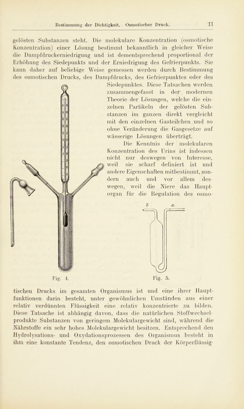 Bestimmung der Dichtigkeit. Osmotischer Druck. gelösten Substanzen steht. Die molekulare Konzentration (osmotische Konzentration) einer Lösung bestimmt bekanntlich in gleicher Weise die Dampfdruckerniedrigung und ist dementsprechend proportional der Erhöhung des Siedepunkts und der Erniedrigung des Gefrierpunkts. Sie kann daher auf beliebige Weise gemessen werden durch Bestimmung des osmotischen Drucks, des Dampfdrucks, des Gefrierpunktes oder des Siedepunktes. Diese Tatsachen werden zusammen gefasst in der modernen Theorie der Lösungen, welche die ein- zelnen Partikeln der gelösten Sub- stanzen im ganzen direkt vergleicht mit den einzelnen Gasteilchen und so ohne Veränderung die Gasgesetze auf wässerige Lösungen überträgt. Die Kenntnis der molekularen Konzentration des Urins ist indessen nicht nur deswegen von Interesse, weil sie scharf definiert ist und andere Eigenschaften mitbestimmt, son- dern auch und vor allem des- wegen, weil die Niere das Haupt- organ für die Regulation des osmo- Fig. 5. tischen Drucks im gesamten Organismus ist und eine ihrer Haupt- funktionen darin besteht, unter gewöhnlichen Umständen aus einer relativ verdünnten Flüssigkeit eine relativ konzentrierte zu bilden. Diese Tatsache ist abhängig davon, dass die natürlichen Stoffwechsel- produkte Substanzen von geringem Molekulargewicht sind, während die Nährstoffe ein sehr hohes Molekulargewicht besitzen. Entsprechend den Hydrolysations- und Oxydationsprozessen des Organismus besteht in ihm eine konstante Tendenz, den osmotischen Druck der Körperflüssig-