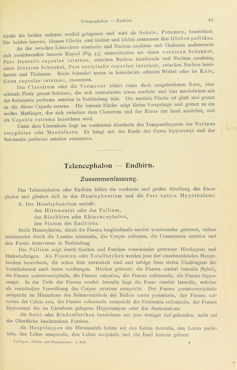 Größe die beiden anderen medial gelegenen und wird als Schale, I utamen, bezeichnet. Die beiden inneren, blassen Glieder sind kleiner und bilden zusammen den Globus pallidus. An der zwischen Linsenkern einerseits und Nucleus caudatus und Thalamus andererseits sich ausdehnenden inneren Kapsel (Fig. 53) unterscheiden wir einen vorderen Schenkel, Pars frontaliscapsulae internae, zwischen Nucleus lentiformis und Nucleus caudatus, einen hinteren Schenkel, Pars occipitalis capsulae internae, zwischen Nucleus lenti- formis und Thalamus. Beide Schenkel treten in lateralwärts offenem Winkel oder im Knie, Genu capsulae internae, zusammen. Das Claustrum oder die Vormauer bildet einen flach ausgebreiteten Kern, eine schmale Platte grauer Substanz, die sich ventralwärts etwas verdickt und hier medialwarts mit der Substantia perforata anterior in Verbindung tritt. Die mediale Fläche ist glatt und grenzt an die dünne Capsula externa. Die laterale Fläche zeigt kleine Vorsprünge und grenzt an ein weißes Marklager, das sich zwischen dem Claustrum und der Rinde der Insel ausdehnt, und als Capsula extrema bezeichnet wird. Unter dem Linsenkern liegt im vordersten Abschnitt des Temporallappens der Nucleus amygdalae oder Mandelkern. Er hängt mit der Rinde des Gyrus hippocampi und der Substantia perforata anterior zusammen. Telencephalon — Endhirn. Zusammenfassung. Das Telencephalon oder Endhirn bildet die vorderste und größte Abteilung des Ence- phalon und gliedert sich in das Hemisphaerium und die Pars optica Hypothalami. A. Das Hemisphaerium umfaßt; den Hirnmantel oder das Pallium, das Riechhirn oder Rhinencephalon, den Stamm des Endhirns. Beide Hemisphären, durch die Fissura longitudinalis cerebri voneinander getrennt, stehen miteinander durch die Lamina terminalis, das Corpus callosum, die Commissura anterior und den Fornix transversus in Verbindung. Das Pallium zeigt durch Spalten und Furchen voneinander getrennte Hirnlappen und Hirnwindungen. Als Fissuren oder Totalfurchen werden jene tief einschneidenden Haupt- furchen bezeichnet, die schon früh entwickelt sind und infolge ihres tiefen Eindringens die Ventrikelwand nach innen vordrängen. Hierher gehören; die Fissura cerebri lateralis (Sylvii), die Fissura parieto-occipitalis, die Fissura calcarina, die Fissura collateralis, die Fissura hippo- campi. In der Tiefe der Fissura cerebri lateralis liegt die Fossa cerebri lateralis, welcher als ventrikuläre Vorwölbung das Corpus Striatum entspricht. Der Fissura parieto-occipitalis entspricht im Flinterhorn des Seitenventrikels der Bulbus cornu posterioris, der Fissura cal- carina der Calcar avis, der Fissura collateralis entspricht die Eminentia collateralis, der Fissura hippocampi der im Unterhorn gelegene Hippocampus oder das Ammonshorn. Als Sulci oder Rindenfurchen bezeichnen wir jene weniger tiefgehenden, mehr auf die Oberfläche beschränkten Furchen. Als Haupt lappen des Hirnmantels haben wir den Lobus frontalis, den Lobus parie- talis, den Lobus temporalis, den Lobus occipitalis und die Insel kennen gelernt. Villiger, Gehirn und Rückenmark. 2. Aufl. 4