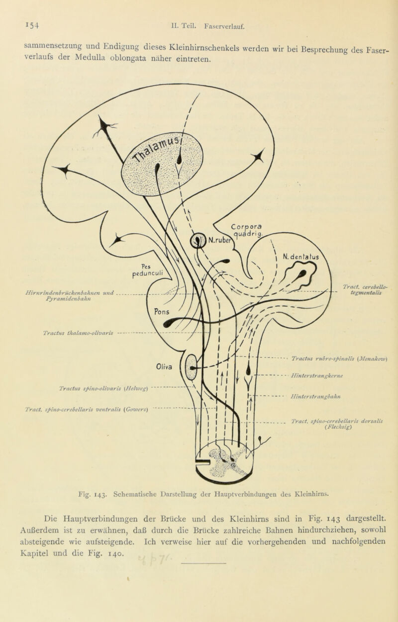 sammensetzung und Endigung dieses Kleinhirnschenkels werden wir bei Besprechung des Faser- verlaufs der Medulla oblongata näher eintreten. Die Hauptverbindungen der Brücke und des Kleinhirns sind in Fig. 143 dargestellt. Außerdem ist zu erwähnen, daß durch die Brücke zahlreiche Bahnen hindurchziehen, sowohl absteigende wie aufsteigende. Ich verweise hier auf die vorhergehenden und nachfolgenden Kapitel und die Fig. 140.