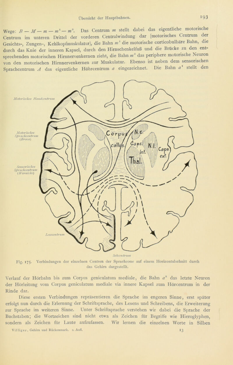 Wege: B M—m — vB—nB. Das Centrum m stellt dabei das eigentliche motorische Centrum im unteren Drittel der vorderen Centralwindung dar (motorisches Centrum der Gesichts-, Zungen-, Kehlkopfmuskulatur), die Bahn 11B die motorische corticobulbäre Bahn, die durch das Knie der inneren Kapsel, durch den Hirnschenkelfuß und die Brücke zu den ent sprechenden motorischen Hirnnervenkernen zieht, die Bahn in das periphere motorische Neuron von den motorischen Hirnnervenkernen zur Muskulatur. Ebenso ist neben dem sensorischen Sprachcentrum A das eigentliche Höhrcentrum a eingezeichnet. Die Bahn a stellt den Fig. 175. Verbindungen der einzelnen Centren der Sprachzone auf einem Horizontalschnitt durch das Gehirn dargestellt. Verlauf der Hörbahn bis zum Corpus geniculatum mediale, die Bahn das letzte Neuron der Hörleitung vom Corpus geniculatum mediale via innere Kapsel zum Hörcentrum in der Rinde dar. Diese ersten Verbindungen repräsentieren die Sprache im engeren Sinne, erst später erfolgt nun durch die Erlernung der Schriftsprache, des Lesens und Schreibens, die Erweiterung zur Sprache im weiteren Sinne. Unter Schriftsprache verstehen wir dabei die Sprache der Buchstaben; die Wortzeichen sind nicht etwa als Zeichen für Begriffe wie Hieroglyphen, sondern als Zeichen für Laute aufzufassen. Wir lernen die einzelnen Worte in Silben Villiger, Gehirn und Rückenmark. 2. Aufl. 13