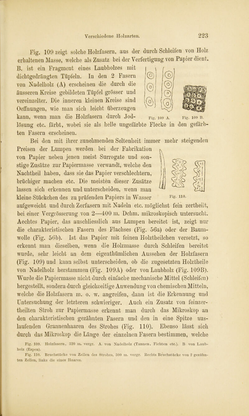 Fig. 109 zeigt solche Holzfasern, aus der durch Schleifen von Holz erhaltenen Masse, welche als Zusatz bei der Verfertigung von Papier dient. B. ist ein Fragment eines Laubholzes mit dichtgedrängten Tüpfeln. In den 2 Fasern von Nadelholz (A) erscheinen die durch die äusseren Kreise gebildeten Tüpfel grösser und vereinzelter. Die inneren kleiuen Kreise sind Oeffnungen, wie man sich leicht überzeugen kann, wenn man die Holzfasern durch Jod- Fig. ioo a. Fig. 109 b. lösung etc. färbt, wobei sie als helle ungefärbte Flecke in den gefärb- ten Fasern erscheinen. Bei den mit ihrer zunehmenden Seltenheit immer mehr steigenden Preisen der Lumpen werden bei der Fabrikation von Papier neben jenen meist Surrogate und son- stige Zusätze zur Papiermasse verwandt, welche den Nachtheil haben, dass sie das Papier verschlechtern, brüchiger machen etc. Die meisten dieser Zusätze lassen sich erkennen und unterscheiden, wenn man kleine Stückchen des zu prüfenden Papiers in Wasser aufgeweicht und durch Zerfasern mit Nadeln etc. möglichst fein zertheilt, bei einer Vergrösserung von 2—400 m. Dchm. mikroskopisch untersucht. Aechtes Papier, das auschliesslich aus Lumpen bereitet ist, zeigt nur die charakteristischen Fasern des Flachses (Fig. 56a) oder der Baum- wolle (Fig. 56b). Ist das Papier mit feinen Flolztheilchen versetzt, so erkennt man dieselben, wenn die Holzmasse durch Schleifen bereitet wurde, sehr leicht an dem eigenthümlichen Aussehen der Holzfasern (Fig. 109) und kann selbst unterscheiden, ob die zugesetzten Holztheile von Nadelholz herstammen (Fig. 109A) oder von Laubholz (Fig. 109B). Wurde die Papiermasse nicht durch einfache mechanische Mittel (Schleifen) hergestellt, sondern durch gleichzeitige Anwendung von chemischen Mitteln, welche die Holzfasern m. 0. w. angreifen, dann ist die Erkennung und Untersuchung der letzteren schwieriger. Auch ein Zusatz von feinzer- theilten Stroh zur Papiermasse erkennt man durch das Mikroskop an den charakteristischen gezähnten Fasern und den in eine Spitze aus- laufenden Grannenhaaren des Strohes (Fig. 110). Ebenso lässt sich durch das Mikroskop die Länge der einzelnen Fasern bestimmen, welche Fig. 109. Holzfasern, 320 m. vergr. A. von Nadelholz (Tannen, Fichten etc.). B von Laub- holz (Espen). Fig. 110. Bruchstücke von Zellen des Strohes. 300 m. vergr. Rechts Bruchstücke von 2 gezahn- ten Zellen, links die eines Haares. <1^ ft# Fig. 110.