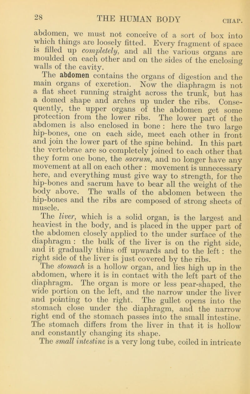 CHAP. abdomen, we must not conceive of a sort of box into which things are loosely fitted. Every fragment of space is filled up completely, and all the various organs are moulded on eacli other and on the sides of the enclosing walls of the cavity. The abdomen contains the organs of digestion and the main organs of excretion. Now the diaphragm is not a flat sheet running straight across the trimk, but has a domed shape and arches up under the ribs. Conse- quently, the upper organs of the abdomen get some protection from the lower ribs. The lower part of the abdomen is also enclosed in bone i here the two large hip-bones, one on each side, meet each other in front and join the lower part of the spine behind. In this part the vertebrae are so completely joined to each other that they form one bone, the sacrum, and no longer have any movement at all on each other : movement is unnecessary here, and everything must give way to strength, for the hip-bones and sacrum have to bear all the weight of the body above. The walls of the abdomen between the hip-bones and the ribs are composed of strong sheets of muscle. The liver, which is a solid organ, is the largest and heaviest in the body, and is placed in the upper part of the abdomen closely applied to the under surface of the diaphragm : the bulk of the liver is on the right side, and it gradually thins off upwards and to the left : the right side of the liver is just covered by the ribs. The stomach is a hollow organ, and lies high up in the abdomen, where it is in contact with the left part of the diaphragrn. The organ is more or less pear-shaped, the wide portion on the left, and the narrow under the liver and pointing to the right. The gullet opens into tlie stomach close under the diaphragm, and the narrow right end of the stomach passes into the small intestine. The stomach differs from the liver in that it is hollow and constantly changing its shape. The small intestine is a ver}^ long tube, coiled in intricate