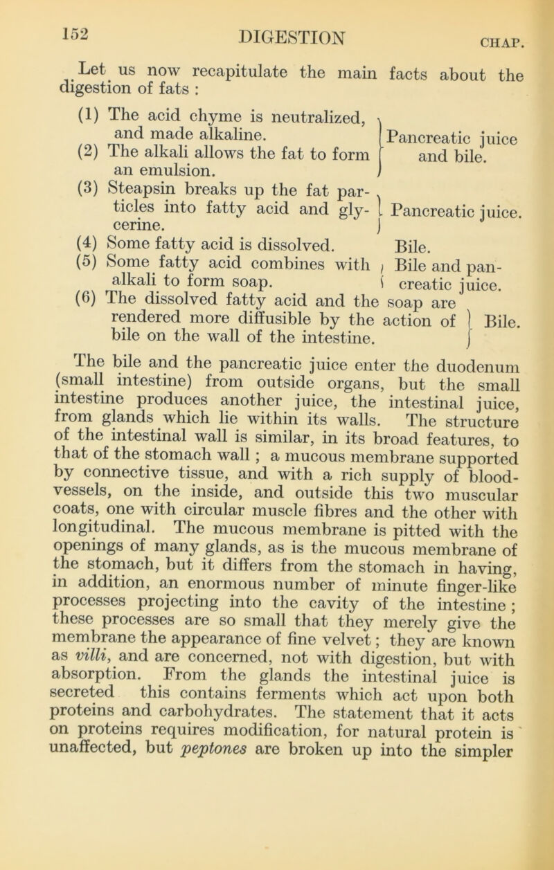 CHAP. Let US now recapitulate the main facts about the digestion of fats : (1) The acid chyme is neutralized, and made alkaline. Pancreatic juice (2) The alkali allows the fat to form and bile. an emulsion. (3) Steapsin breaks up the fat par- ticles into fatty acid and gly- 1 Pancreatic juice, cerine. ) (4) Some fatty acid is dissolved. Bile. (5) Some fatty acid combines with / Bile and pan- alkali to form soap. ( creatic juice. (6) The dissolved fatty acid and the soap are rendered more diffusible by the action of 1 Bile, bile on the wall of the intestine. | The bile and the pancreatic juice enter the duodenum (small intestine) from outside organs, but the small intestine produces another juice, the intestinal juice, from glands which lie within its walls. The structure of the intestinal wall is similar, in its broad features, to that of the stomach wall ; a mucous membrane supported by connective tissue, and with a rich supply of blood- vessels, on the inside, and outside this two muscular coats, one with circular muscle fibres and the other with longitudinal. The mucous membrane is pitted with the openings of many glands, as is the mucous membrane of the stomach, but it differs from the stomach in having, in addition, an enormous number of minute finger-like processes projecting into the cavity of the intestine; these processes are so small that they merely give the membrane the appearance of fine velvet; they are known as villi, Q,ndi are concerned, not with digestion, but with absorption. From the glands the intestinal juice is secreted this contains ferments which act upon both proteins and carbohydrates. The statement that it acts on proteins requires modification, for natural protein is' unaffected, but peptones are broken up into the simpler