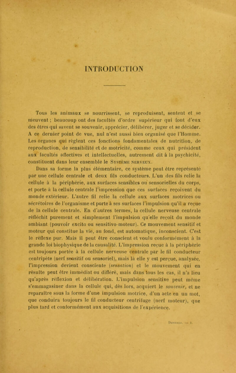 INTRODUCTION Tous les animaux se nourrissent, se reproduisent, sentent et se meuvent ; beaucoup ont des facultés d’ordre supérieur qui font d’eux des êtres qui savent se souvenir, apprécier, délibérer, juger et se décider. A ce dernier point de vue, nul n’est aussi bien organisé que l’Homme. Les organes qui règlent ces fonctions fondamentales de nutrition, de reproduction, de sensibilité et de motricité, comme ceux qui président aux facultés affectives et intellectuelles, autrement dit à la psychicité, constituent dans leur ensemble le Système nekveux. Dans sa forme la plus élémentaire, ce système peut être représenté par une cellule centrale et deux fils conducteurs. L’un des fils relie la cellule à la périphérie, aux surfaces sensibles ou sensorielles du corps, et porte à la cellule centrale l’impression que ces surfaces reçoivent du monde extérieur. L’autre fil relie la cellule aux surfaces motrices ou sécrétoires de l’organisme et porte à ses surfaces l’impulsion qu’il a reçue de la cellule centrale. En d’autres termes, la cellule nerveuse centrale réfléchit purement et simplement l’impulsion qu elle reçoit du monde ambiant (pouvoir excito ou seusitivo-moteur). Ce mouvement sensitif et moteur qui constitue la vie, au fond, est automatique, inconscient. C’est le réflexe pur. Mais il peut être conscient et voulu conformément à la grande loi biophysique de la causalité. L’impression reçue à la périphérie est toujours portée à la cellule nerveuse centrale par le fil conducteur centripète (nerf sensitif ou sensoriel), mais là elle y est perçue, analysée, l’impression devient consciente (sensation) et le mouvement qui en résulte peut être immédiat ou différé, mais dans tous les cas, il n’a lieu qu’après réflexion et délibération. L'impulsion sensitive peut même s’emmagasiner dans la cellule qui, dès lors, acquiert le soutenir, et ne reparaître sous la forme d’une impulsion motrice, d’un acte en un mot, que conduira toujours le fil conducteur centrifuge (nerf moteur), que plus tard et conformément aux acquisitions de l’expérience.