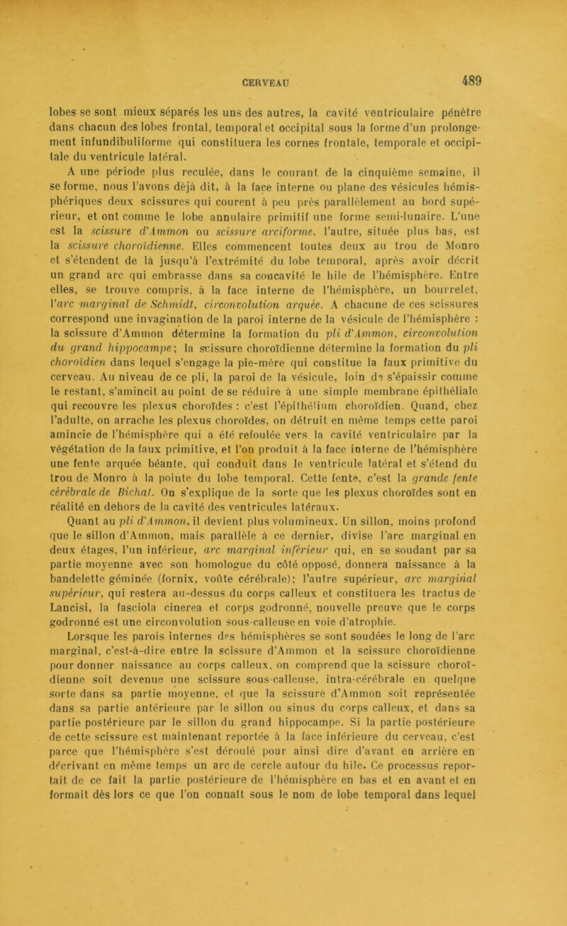 lobes se sont mieux séparés les uns des autres, la cavité ventriculaire pénètre dans chacun des lobes frontal, temporal et occipital sous la forme d’un prolonge- ment infundibuliforme qui constituera les cornes frontale, temporale et occipi- tale du ventricule latéral. A une période plus reculée, dans le courant de la cinquième semaine, il se forme, nous l’avons déjà dit, à la face interne ou plane des vésicules hémis- phériques deux scissures qui courent à peu près parallèlement au bord supé- rieur, et ont comme le lobe annulaire primitif une forme semi-lunaire. L’une est la scissure d'Ammon ou scissure arciforme, l’autre, située plus bas, est la scissure choroïdienne. Elles commencent toutes deux au trou de Monro et s’étendent de là jusqu’à l’extrémité du lobe temporal, après avoir décrit un grand arc qui embrasse dans sa concavité le hile de l’hémisphère. Entre elles, se trouve compris, à la face interne de l’hémisphère, un bourrelet, l’arc marginal de Schmidt, circonvolution arquée. A chacune de ces scissures correspond une invagination de la paroi interne de la vésicule de l’hémisphère : la scissure d’Ammon détermine la formation du pli d'Ammon, circonvolution du grand hippocampe ; la scissure choroïdienne détermine la formation du pli choroïdien dans lequel s’engage la pie-mère qui constitue la faux primitive du cerveau. Au niveau de ce pli, la paroi de la vésicule, loin de s’épaissir comme le restant, s’amincit au point de se réduire à une simple membrane épithéliale qui recouvre les plexus choroïdes : c’est l’épithélium choroïdien. Quand, chez l’adulte, on arrache les plexus choroïdes, on détruit en même temps cette paroi amincie de l’hémisphère qui a été refoulée vers la cavité ventriculaire par la végétation de la faux primitive, et l’on produit à la face interne de l’hémisphère une fente arquée béante, qui conduit dans le ventricule latéral et s’étend du trou de Monro à la pointe du lobe temporal. Cette fente, c’est la grande (ente cérébrale de nichât. On s’explique de la sorte que les plexus choroïdes sont en réalité en dehors de la cavité des ventricules latéraux. Quant au pli d'Ammon, il devient plus volumineux. Un sillon, moins profond que le sillon d’Ammon, mais parallèle à ce dernier, divise l’arc marginal en deux étages, l’un inférieur, arc marginal inférieur qui, en se soudant par sa partie moyenne avec son homologue du côté opposé, donnera naissance à la bandelette géminée (fornix, voûte cérébrale); l’autre supérieur, arc marginal supérieur, qui restera au-dessus du corps calleux et constituera les tractus de Lancisi, la fasciola cinerea et corps godronné, nouvelle preuve que le corps godronné est une circonvolution sous-calleuse en voie d’atrophie. Lorsque les parois internes des hémisphères se sont soudées le long de l'arc marginal, c’est-à-dire entre la scissure d’Ammon et la scissure choroïdienne pour donner naissance au corps calleux, on comprend que la scissure choroï- dienne soit devenue une scissure sous-calleuse, intra-cérébrale en quelque sorte dans sa partie moyenne, et que la scissure d’Ammon soit représentée dans sa partie antérieure par le sillon ou sinus du corps calleux, et dans sa partie postérieure par le sillon du grand hippocampe. Si la partie postérieure de cette scissure est maintenant reportée à la face inférieure du cerveau, c’est parce que l’hémisphère s’est déroulé pour ainsi dire d’avant en arrière en décrivant en même temps un arc de cercle autour du hile. Ce processus repor- tait de ce fait la partie postérieure de l’hémisphère en bas et en avant et en formait dès lors ce que l’on connaît sous le nom de lobe temporal dans lequel