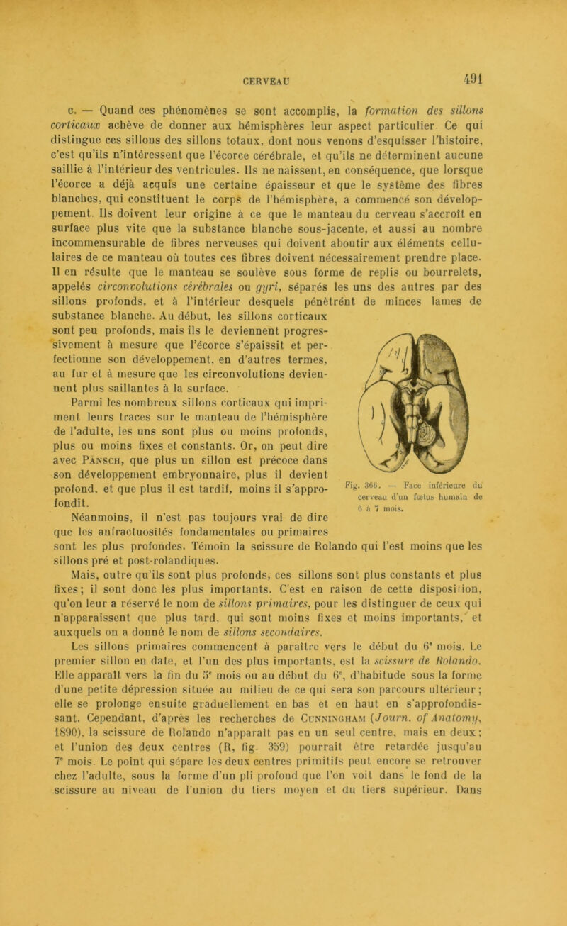 c. — Quand ces phénomènes se sont accomplis, la formation des sillons corticaux achève de donner aux hémisphères leur aspect particulier Ce qui distingue ces sillons des sillons totaux, dont nous venons d’esquisser l’histoire, c’est qu’ils n’intéressent que l’écorce cérébrale, et qu’ils ne déterminent aucune saillie à l’intérieur des ventricules. Ils ne naissent, en conséquence, que lorsque l’écorce a déjà acquis une certaine épaisseur et que le système des fibres blanches, qui constituent le corps de l’hémisphère, a commencé son dévelop- pement. Ils doivent leur origine à ce que le manteau du cerveau s'accroît en surface plus vite que la substance blanche sous-jacente, et aussi au nombre incommensurable de fibres nerveuses qui doivent aboutir aux éléments cellu- laires de ce manteau où toutes ces fibres doivent nécessairement prendre place. Il en résulte que le manteau se soulève sous forme de replis ou bourrelets, appelés circonvolutions cérébrales ou gyri, séparés les uns des autres par des sillons profonds, et à l’intérieur desquels pénètrént de minces lames de substance blanche. Au début, les sillons corticaux sont peu profonds, mais ils le deviennent progres- sivement à mesure que l’écorce s’épaissit et per- fectionne son développement, en d’autres termes, au fur et à mesure que les circonvolutions devien- nent plus saillantes à la surface. Parmi les nombreux sillons corticaux qui impri- ment leurs traces sur le manteau de l’hémisphère de l’adulte, les uns sont plus ou moins profonds, plus ou moins fixes et constants. Or, on peut dire avec Pansch, que plus un sillon est précoce dans son développement embryonnaire, plus il devient profond, et que plus il est tardif, moins il s’appro- fondit. Néanmoins, il n’est pas toujours vrai de dire que les anfractuosités fondamentales ou primaires sont les plus profondes. Témoin la scissure de Rolando qui l’est moins que les sillons pré et post-rolandiques. Mais, outre qu’ils sont plus profonds, ces sillons sont plus constants et plus fixes; il sont donc les plus importants. C'est en raison de cette disposiiion, qu’on leur a réservé le nom de sillons primaires, pour les distinguer de ceux qui n'apparaissent que plus tard, qui sont moins fixes et moins importants, et auxquels on a donné le nom de sillons secondaires. Les sillons primaires commencent à paraître vers le début du 6* mois. Le premier sillon en date, et l’un des plus importants, est la scissure de Rolando. Elle apparaît vers la fin du 5' mois ou au début du 6e, d’habitude sous la forme d’une petite dépression située au milieu de ce qui sera son parcours ultérieur; elle se prolonge ensuite graduellement en bas et en haut en s’approfondis- sant. Cependant, d’après les recherches de Cunningham ( Journ. of Anatomji, 1890), la scissure de llolando n’apparalt pas en un seul centre, mais en deux; et l’union des deux centres (R, lig. 359) pourrait être retardée jusqu’au T mois. Le point qui sépare les deux centres primitifs peut encore se retrouver chez l’adulte, sous la forme d’un pli profond que l’on voit dans le fond de la scissure au niveau de l’union du tiers moyen et du tiers supérieur. Dans Fig. 306. — Face inférieure du cerveau d'un fœlus humain de 6 à 7 mois.