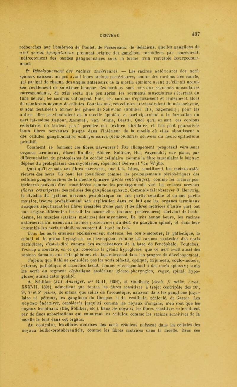 recherches sur l’embryon de Poulef, de Passereaux, de Sélaciens, que les ganglions du nerf grand sympathique prennent origine des ganglions rachidiens, par conséquent, indirectement des bandes ganglionnaires sous la forme d’un véritable bourgeonne- ment. 2° Développement des racines antérieures. — Les racines antérieures des nerfs spinaux naissent un peu avant leurs racines postérieures, comme des cordons très courts, qui partent de chacun des angles antérieurs de la moelle épinière avant qu’elle ait acquis son revêtement de substance blanche. Ces cordons sont unis aux segments musculaires correspondanls, de telle sorte que peu après, les segments musculaires s'écartant du tube neural, les cordons s’allongent. Puis, ces cordons s’épaississent et renferment alors de nombreux noyaux de cellules. Pour les uns, ces cellules proviendraient du mésenchyme, et sont destinées à former les gaines de Schvvann (Kôlliker, llis, Sagemehl) ; pour les autres, elles proviendraient de la moelle épinière et participeraient à la formation du nerf lui-même (Balfour, Marshall, Van VVijhe, Beard). Quoi qu’il en soit, ces cordons cellulaires ne tardent pas à prendre une texture fibrillaire, et l’on peut poursuivre leurs fibres nerveuses jusque dans l'intérieur de la moelle où elles aboutissent à des cellules ganglionnaires embryonnaires (neuroblastes) dérivées du neuro-épithélium primitif. Comment se forment ces fibres nerveuses? Par allongement progressif vers leurs organes terminaux, disent Kupller, Bidder, Kôlliker, His, Sagemehl ; sur place, par différenciation du protoplasma du cordon cellulaire, comme la fibre musculaire le fait aux dépens du protoplasma des myoblastes, répondent Dohrn et Van Wijhe. Quoi qu’il en soit, ces fibres nerveuses, une fois faites, constituent les racines anté- rieures des nerfs. On peut les considérer comme les prolongements périphériques des cellules ganglionnaires de la moelle épinière [fibres centrifuges), comme les racines pos- térieures peuvent être considérées comme les prolongements vers les centres nerveux [fibres centripètes) des cellules des ganglions spinaux. Comme le fait observer O. Hertwig, la division du système nerveux périphérique en une partie sensible et en une partie motiice, trouve probablement son explication dans ce fait que les organes terminaux auxquels aboutissent les fibres sensibles d’une part et les fibres motrices d’autre part ont une origine différente : les cellules sensorielles (racines postérieures) dérivant de l’ecto- derme, les muscles (racines motrices) des myomères. De très bonne heure, les racines antérieures s’unissent aux racines postérieures au-delà du ganglion spinal, et dans leur ensemble les nerfs rachidiens naissent de haut en bas. Tous les nerfs crâniens exclusivement moteurs, les oculo-moteurs, le pathétique, le spinal et le grand hypoglosse se développent comme les racines ventrales des nerfs rachidiens, c’est-à-dire comme des excroissances de la base de l’encéphale. Toutefois, Froriep a constaté, en ce qui concerne le grand hypoglosse, que ce nerf avait aussi des racines dorsales qui s’atrophiaient et disparaissaient dans les progrès du développement. J’ajoute que Babl ne considère pas les nerfs olfactif, optique, trijumeau, oculo-moteur, externe, pathétique et acoustico-facial, comme correspondant à des nerfs spinaux; seuls les nerfs du segment céphalique postérieur (glosso-pharyngien, vague, spinal, hypo- glosse) aurait cette qualité. A. Kôlliker [Ant. Anzeiger, nos 14-11, 1891), et Goldberg [Arch. f. mikr. Anat. XXXVII, 1891), admettent que toutes les fibres sensitives à trajet centripète des 10e, 9e, 7e et 5” paires, de même que celles de l’acoustique, naissent dans les ganglions jugu- laire et pétreux, les ganglions du limaçon et du vestibule, géniculé, de Gasser. Les noyaux bulbaires, considérés jusqu’ici comme les noyaux d’origine, n’en sont que les noyaux terminaux (His, Kôlliker, etc.). Dans ces noyaux, les fibres sensitives se terminent par de fines arborisations qui entourent les cellules, comme les racines sensitives de la moelle le font dans cet organe. Au contraire, les «fibres motrices des nerfs crâniens naissent dans les cellules des noyaux bulbo-protubérantiels, comme les fibres motrices dans la moelle. Dans ces