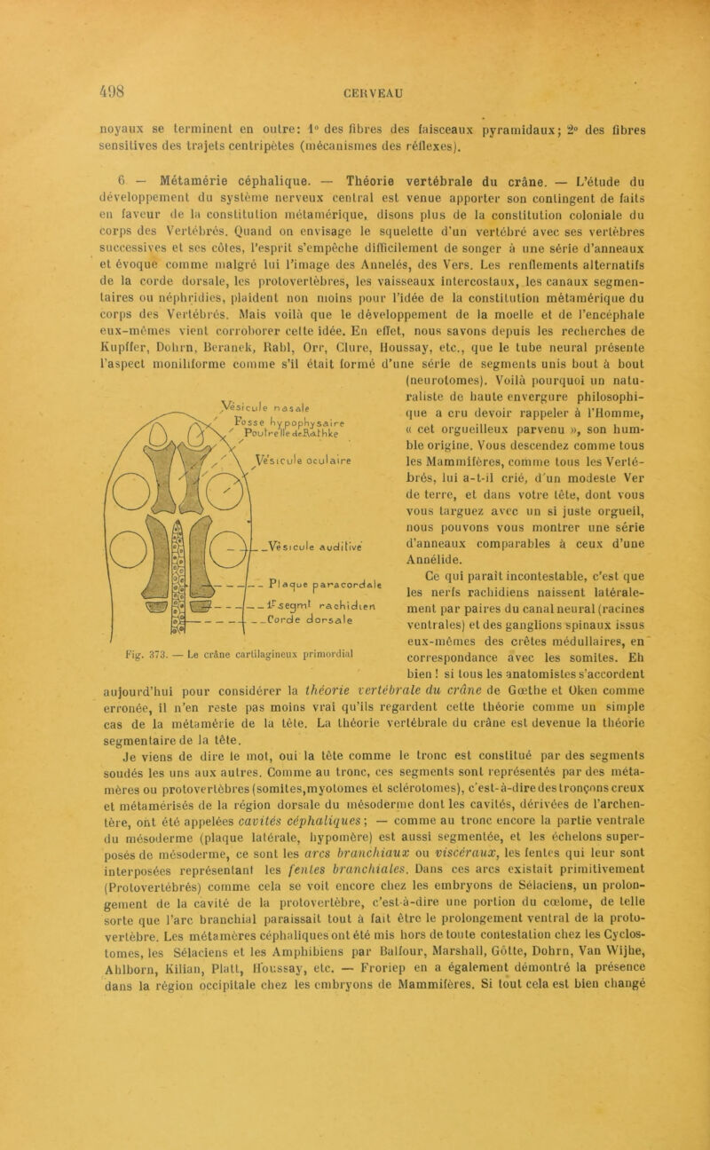 noyaux se terminent en outre: 1° des fibres des faisceaux pyramidaux ; 2° des fibres sensitives des trajets centripètes (mécanismes des réflexes). 6 — Métamérie céphalique. — Théorie vertébrale du crâne. — L’étude du développement du système nerveux central est venue apporter son contingent de faits en faveur de la constitution métamérique, disons plus de la constitution coloniale du corps des Vertébrés. Quand on envisage le squelette d’un vertébré avec ses vertèbres successives et ses côtes, l’esprit s’empêche difficilement de songer à une série d’anneaux et évoque comme malgré lui l’image des Annelés, des Vers. Les renflements alternatifs de la corde dorsale, les protoverlèbres, les vaisseaux intercostaux, les canaux segmen- taires ou néphridies, plaident non moins pour l’idée de la constitution métamérique du corps des Vertébrés. Mais voilà que le développement de la moelle et de l’encéphale eux-mêmes vient corroborer cette idée. En eflet, nous savons depuis les recherches de Ivupffer, Dobrn, Beranek, Rabl, Orr, Clure, Iloussay, etc., que le tube neural présente l’aspect moniliforme comme s’il était formé d’une série de segments unis bout à bout (neurolomes). Voilà pourquoi un natu- raliste de haute envergure philosophi- que a cru devoir rappeler à l’Homme, « cet orgueilleux parvenu », son hum- ble origine. Vous descendez comme tous les Mammifères, comme tous les Verlé- Brés, lui a-t-il crié, d’un modeste Ver de terre, et dans votre tète, dont vous vous targuez avec un si juste orgueil, nous pouvons vous montrer une série d’anneaux comparables à ceux d’une Annélide. Ce qui parait incontestable, c’est que les nerfs rachidiens naissent latérale- ment par paires du canal neural (racines ventrales) et des ganglions spinaux issus eux-mêmes des crêtes médullaires, en correspondance avec les somites. Eh bien ! si tous les anatomistes s’accordent aujourd’hui pour considérer la théorie vertébrale du crâne de Gœthe et (Jken comme erronée, il n’en reste pas moins vrai qu’ils regardent cette théorie comme un simple cas de la métamérie de la tête. La théorie vertébrale du crâne est devenue la théorie segmentaire de la tête. Je viens de dire le mot, oui la tête comme le tronc est constitué par des segments soudés les uns aux autres. Comme au tronc, ces segments sont représentés par des méta- mères ou protovertôbres (somites,myolomes et sclérotomes), c’est-à-dire des tronçons creux et métamérisés de la région dorsale du mésoderme dont les cavités, dérivées de l’archen- tère, ont été appelées cavités céphaliques ; — comme au tronc encore la partie ventrale du mésoderme (plaque latérale, hypomère) est aussi segmentée, et les échelons super- posés de mésoderme, ce sont les arcs branchiaux ou viscéraux, les fentes qui leur sont interposées représentant les fentes branchiales. Dans ces arcs existait primitivement (Protovertébrés) comme cela se voit encore chez les embryons de Sélaciens, un prolon- gement de la cavité de la protovertèbre, c’est-à-dire une portion du cœlome, de telle sorte que l’arc branchial paraissait tout à fait être le prolongement ventral de la proto- vertèbre. Les métamères céphaliques ont été mis hors de toute contestation chez les Cyclos- tomes, les Sélaciens et les Amphibiens par Balfour, Marshall, Gôtte, Dohrn, Van VVijhe, Ahlborn, Kilian, Platt, H'oussay, etc. — Froriep en a également démontré la présence dans la région occipitale chez les embryons de Mammifères. Si tout cela est bien changé Fig. 373. — Le crâne cartilagineux primordial