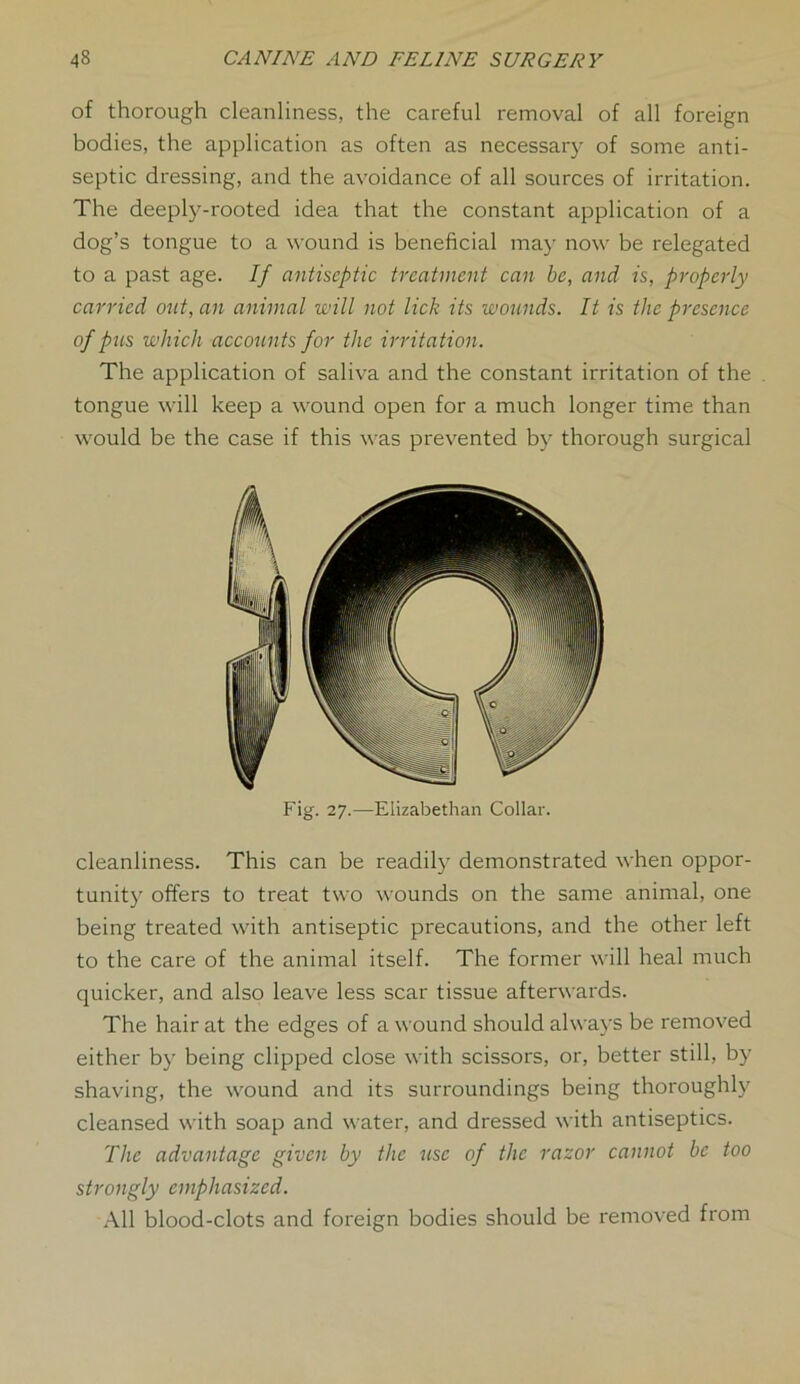 of thorough cleanliness, the careful removal of all foreign bodies, the application as often as necessary of some anti- septic dressing, and the avoidance of all sources of irritation. The deeply-rooted idea that the constant application of a dog’s tongue to a wound is beneficial may now be relegated to a past age. If antiseptic treatment can be, and is, properly carried out, an animal will not lick its wounds. It is the presence of pus which accounts for the irritation. The application of saliva and the constant irritation of the tongue will keep a wound open for a much longer time than would be the case if this was prevented by thorough surgical Fig. 27.—Elizabethan Collar. cleanliness. This can be readily demonstrated when oppor- tunity offers to treat two wounds on the same animal, one being treated with antiseptic precautions, and the other left to the care of the animal itself. The former will heal much quicker, and also leave less scar tissue afterwards. The hair at the edges of a wound should always be removed either by being clipped close with scissors, or, better still, by shaving, the wound and its surroundings being thoroughly cleansed with soap and water, and dressed with antiseptics. The advantage given by the use of the razor cannot be too strongly emphasized. All blood-clots and foreign bodies should be removed from
