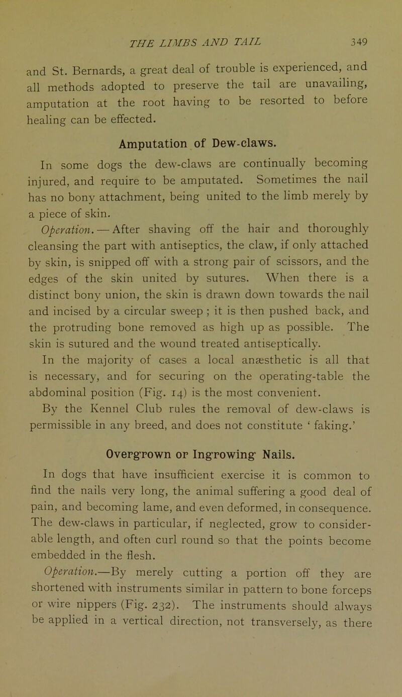 and St. Bernards, a great deal of trouble is experienced, and all methods adopted to preserve the tail are unavailing, amputation at the root having to be resorted to before healing can be effected. Amputation of Dew-claws. In some dogs the dew-claws are continually becoming injured, and require to be amputated. Sometimes the nail has no bony attachment, being united to the limb merely by a piece of skin. Operation. — After shaving off the hair and thoroughly cleansing the part with antiseptics, the claw, if only attached by skin, is snipped off with a strong pair of scissors, and the edges of the skin united by sutures. When there is a distinct bony union, the skin is drawn down towards the nail and incised by a circular sweep ; it is then pushed back, and the protruding bone removed as high up as possible. The skin is sutured and the wound treated antiseptically. In the majority of cases a local anaesthetic is all that is necessary, and for securing on the operating-table the abdominal position (Fig. 14) is the most convenient. By the Kennel Club rules the removal of dew-claws is permissible in any breed, and does not constitute ‘ faking.’ Overgrown or Ingrowing- Nails. In dogs that have insufficient exercise it is common to find the nails very long, the animal suffering a good deal of pain, and becoming lame, and even deformed, in consequence. The dew-claws in particular, if neglected, grow to consider- able length, and often curl round so that the points become embedded in the flesh. Operation.—By merely cutting a portion off they are shortened with instruments similar in pattern to bone forceps or wire nippers (Fig. 232). The instruments should always be applied in a vertical direction, not transversely, as there