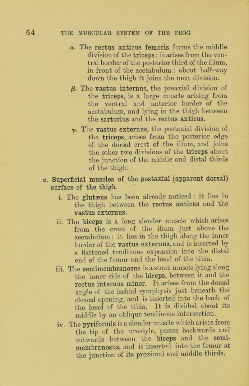 a. The rectus anticus femoris forms the middle division of tlie triceps: it arises from the ven- tral border of the posterior third of the ilium, in front of the acetabulum : about half-way down the thigh it joins the next division. jS. The vastus intemus, the preaxial division of the triceps, is a large muscle arising from the ventral and anterior border of the acetabulum, and lying in the thigh between the sartorius and the rectus anticus. y. The vastus externus, the postaxial division of the triceps, arises from the posterior edge of the dorsal crest of the ilium, and joins the other two divisions of the triceps about the junction of the middle and distal thirds of the thigh. Superficial muscles of the postaxial (apparent dorsal) surface of the thigh. i. The glutaeus has been already noticed : it lies in the thigh between the rectus anticus and the vastus externus. ii. The biceps is a long slender muscle which arises from the crest of the ilium just above the acetabulum : it lies in the thigh along the inner border of the vastus externus, and is inserted by a flattened tendinous expansion into the distal end of the femur and the head of the tibia. iii. The semimembranosus is a stout muscle lying along the inner side of the biceps, between it and the rectus internus minor. It arises from the dorsal angle of the ischial symphysis just beneath the cloacal opening, and is inserted into the back of the head of the tibia. It is divided about its middle by an oblique tendinous intersection. iv. The pyriformis is a slender muscle which arises from the tip of the urostyle, pa.sses backwards and outwards between the biceps and the semi- membranosus, and is insei’ted into the femur at the junction of its proxim.al and middle thirds.