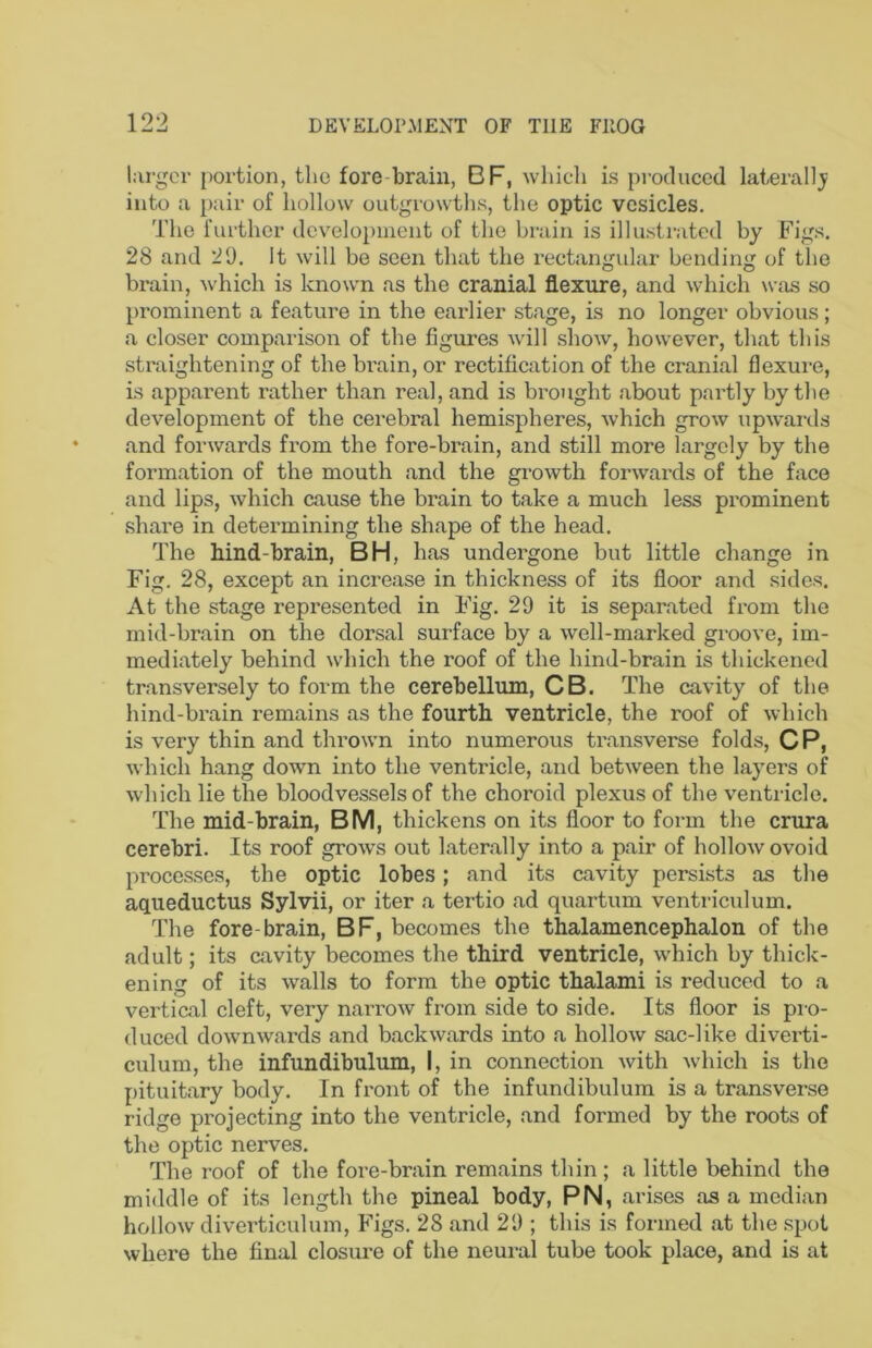 larger portion, the fore brain, BF, wliicli is pi oduced laterally into a pair of hollow outgrowths, the optic vesicles. The further development of the brain is illustrated by Figs. 28 and 29. It will be seen that the rectangular bending of the brain, which is known as the cranial flexure, and which was so prominent a feature in the earlier stage, is no longer obvious; a closer comparison of the figures will show, however, that this sti'aightening of the brain, or rectification of the cranial flexure, is apparent rather than real, and is brought about partly by the development of the cerebral hemispheres, Avhich grow upwards and forwards from the fore-brain, and still more largely by the formation of the mouth and the growth forwards of the face and lips, Avhich cause the brain to take a much less prominent share in determining the shape of the head. The hind-brain, BH, has undergone but little change in Fig. 28, except an increase in thickness of its floor and sides. At the stage represented in Fig. 29 it is separated from the mid-brain on the dorsal surface by a well-marked groove, im- mediately behind which the roof of the hind-brain is thickened transversely to form the cerebellum, CB. The cavity of the hind-brain remains as the fourth ventricle, the roof of which is very thin and thrown into numerous transverse folds, CP, Avhich hang down into the ventricle, and between the layers of which lie the bloodvessels of the choroid plexus of the ventricle. The mid-brain, BM, thickens on its floor to form the crura cerebri. Its roof grows out laterally into a pair of holloAv ovoid processes, the optic lobes; and its cavity persists as the aqueductus Sylvii, or iter a tertio ad quartum ventriculum. The fore-brain, BF, becomes the thalamencephalon of the adult; its cavity becomes the third ventricle, w'hich by thick- ening of its walls to form the optic thalami is reduced to a vertical cleft, very narrow from side to side. Its floor is pio- duced downwards and backwards into a hollow sac-like divei’ti- culum, the infundibulum, I, in connection with which is the pituitary body. In front of the infundibulum is a transverse ridge projecting into the ventricle, and formed by the roots of the optic nerves. The roof of the fore-brain remains thin ; a little behind the middle of its length the pineal body, PN, arises as a median hollow diverticulum. Figs. 28 and 29 ; this is formed at the .spot where the final closiu’e of the neural tube took place, and is at