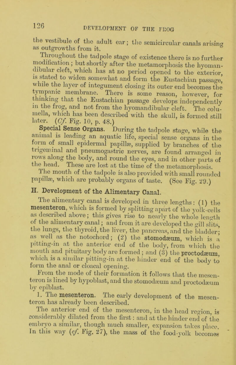 DKVKLOPMENT OF THE IKOG the vestibule of tlio adult ear; the semicircular canals «ai’isin<^ as outgrowths from it. tadpole stage of existence there is no further modihcation ; but shortly after the metamorphosis the hyoman- dibular cleft, which has at no period opened to the exterior IS stated to widen somewhat and form the Eustachian passiige, while the layer of integument closing its outer end becomes the tymp.anic membrane. There is some reason, however, for thinking that the Eustachian passage develops independently in the frog, and not from the hyomandibular cleft. The colu- mella, which has been described with the skull, is formed still later. {Cf. Fig. 10, p. 48.) Special Sense Organs. During the tadpole stage, while the animal IS leading an aquatic life, special sense organs in the form of small epidermal papillie, supplied by branches of the trigeminal and pneumogastric nerves, are found arrangeil in rows along the body, and round the eyes, and in other parts of tlie lie<id- These are lost at the time of tlie rnetamorpliosis. J he mouth of the tadpole is also provided with small rounded papilla?, which are probably organs of taste. (See Fig. 'I'd.) H. Development of the Alimentary Canal. The alimentary canal is develoiied in three lengths: (1) the mesenteron, which is formed by splitting apart of 1,he yolk-cells as de.scribed above; this gives rise to nearly the whole length of the alimentary canal; and from it are developed the gill shts, the lungs, the th}Toid,the livei-, the pancreas, and the bladder; as well .-IS the notochoi'd; (2) the stomodaeum, which is a pitting-in at the anterior end of the body, from which the mouth and pituitary body arc formed; and (3) the proctodseum, which is a similar pitting-in at the hinder end of the body to form the anal or cloacal opening. l?iom the mode of their formation it follows that the mesen- teion is lined by hypoblast, and the stomodieum and proctodauim by cpiblast. 1. Ihe mesenteron. The early development of the mesen- tcron has already been described. The anterior end of the mesenteron, in the head region, is considerably dilated from the first: and at the hinder end of the embryo a similar, though much smaller, expansion talccs place. In this way {cf, big. the mass of the food-yolk becomes